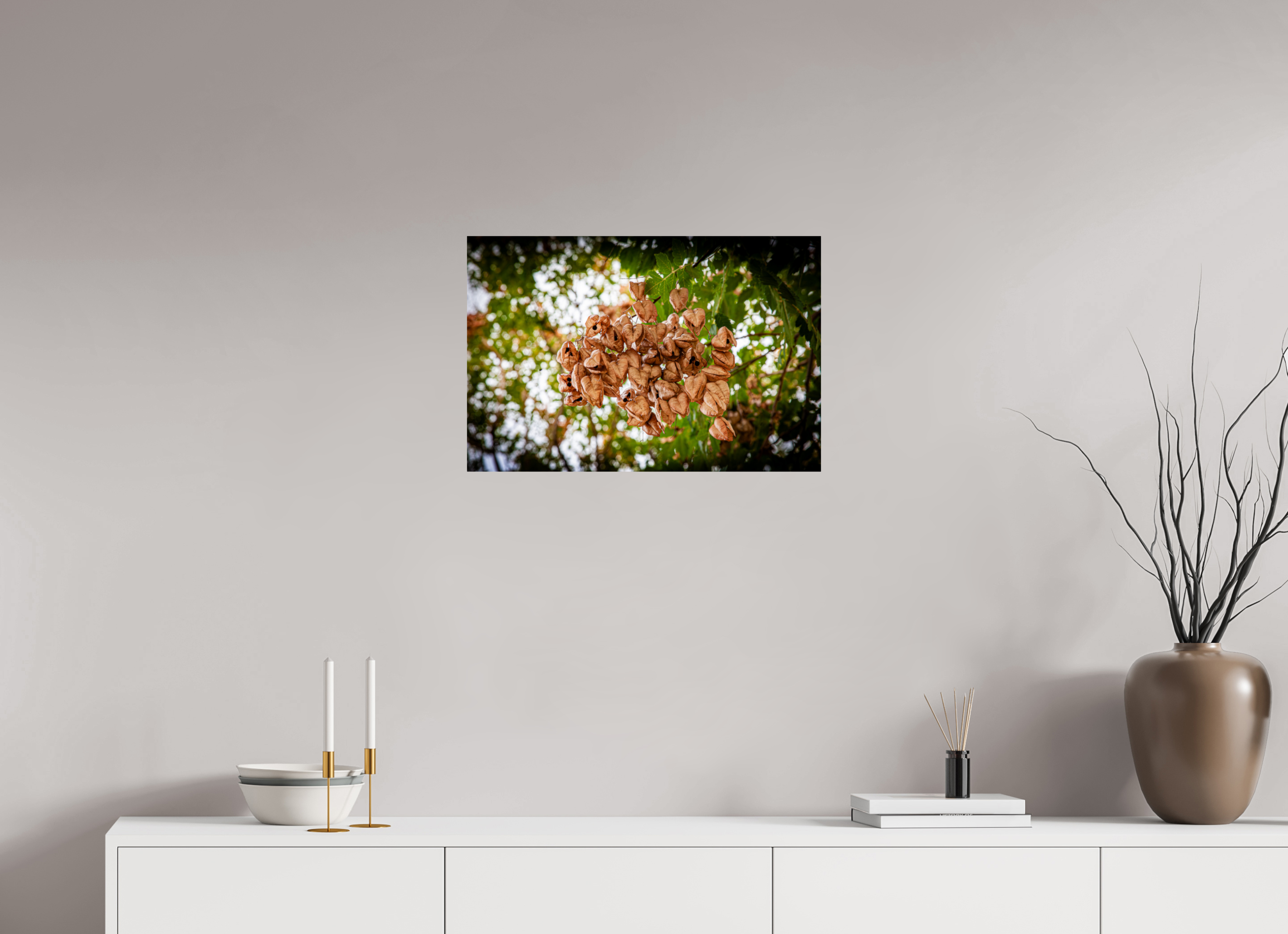 24 x 16″, Photo Print On Fuji Crystal DP II Sunlit Spider Web Golden Hour Salt Lake City