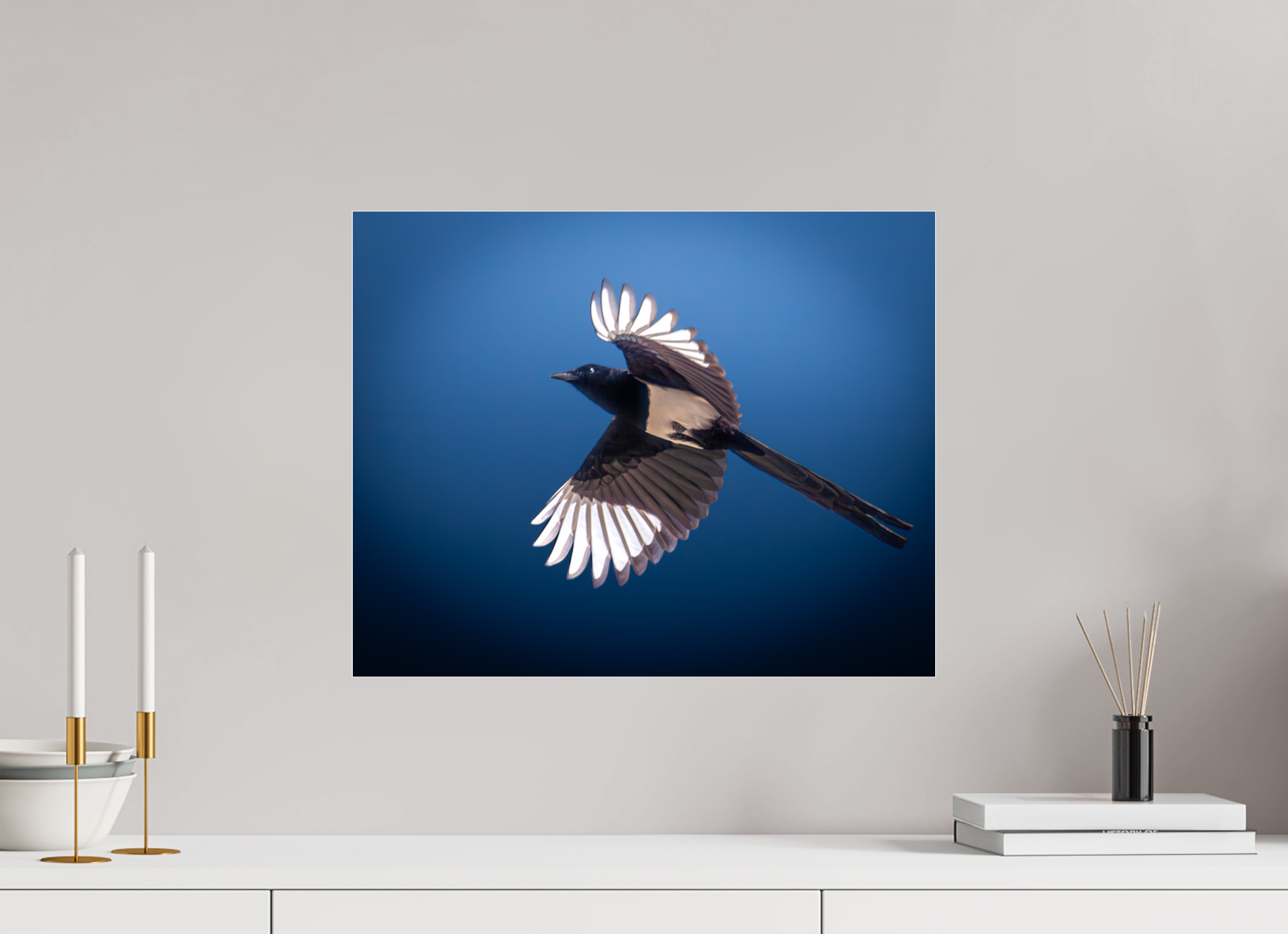 20 x 16″, Photo Print Under Acrylic Glass Black-billed Magpie in Flight Salt Lake City