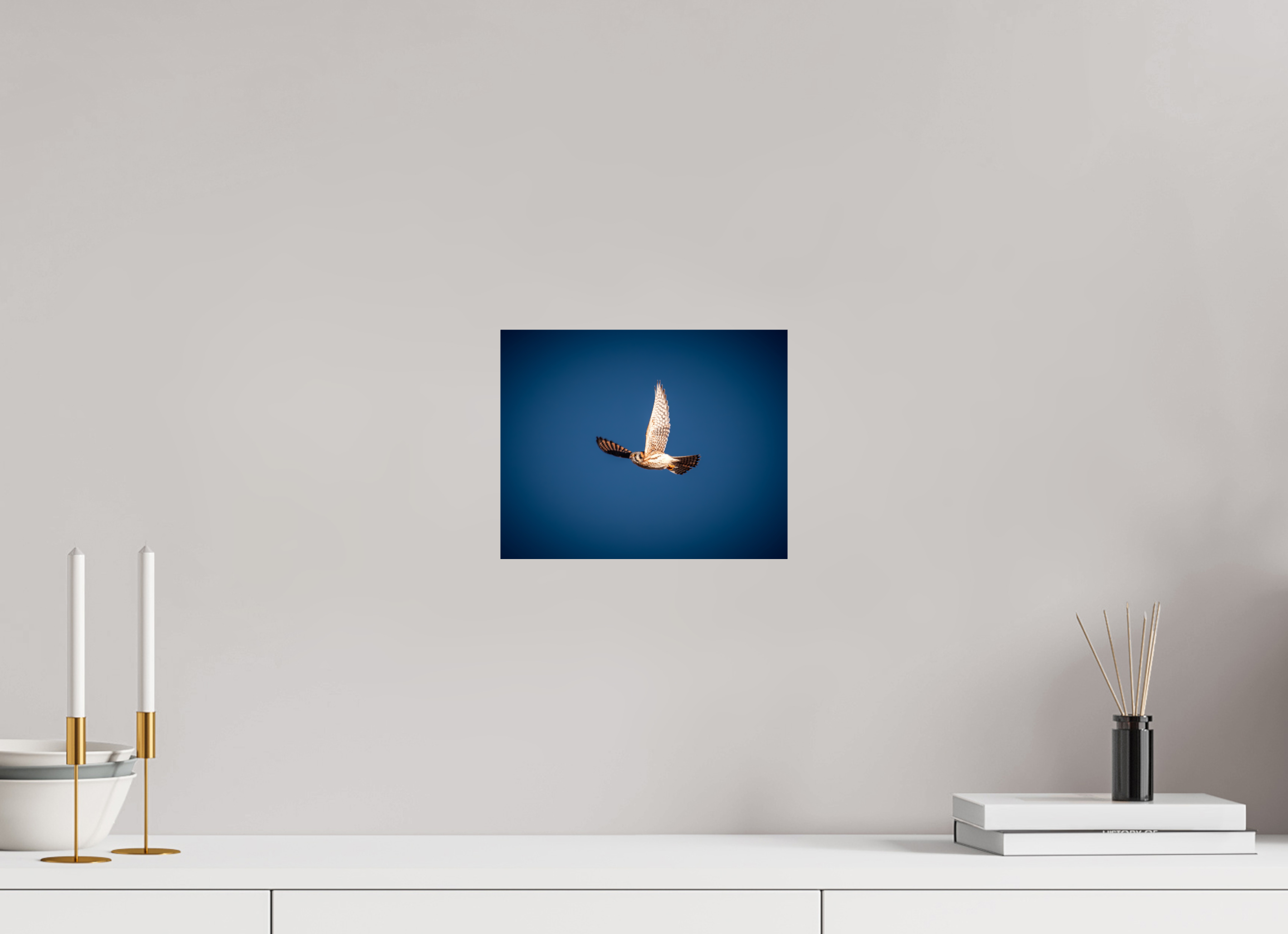 10 x 8″, Photo Print On Fuji Crystal DP II American Kestrel Soaring in Deep Blue Sky Salt Lake City