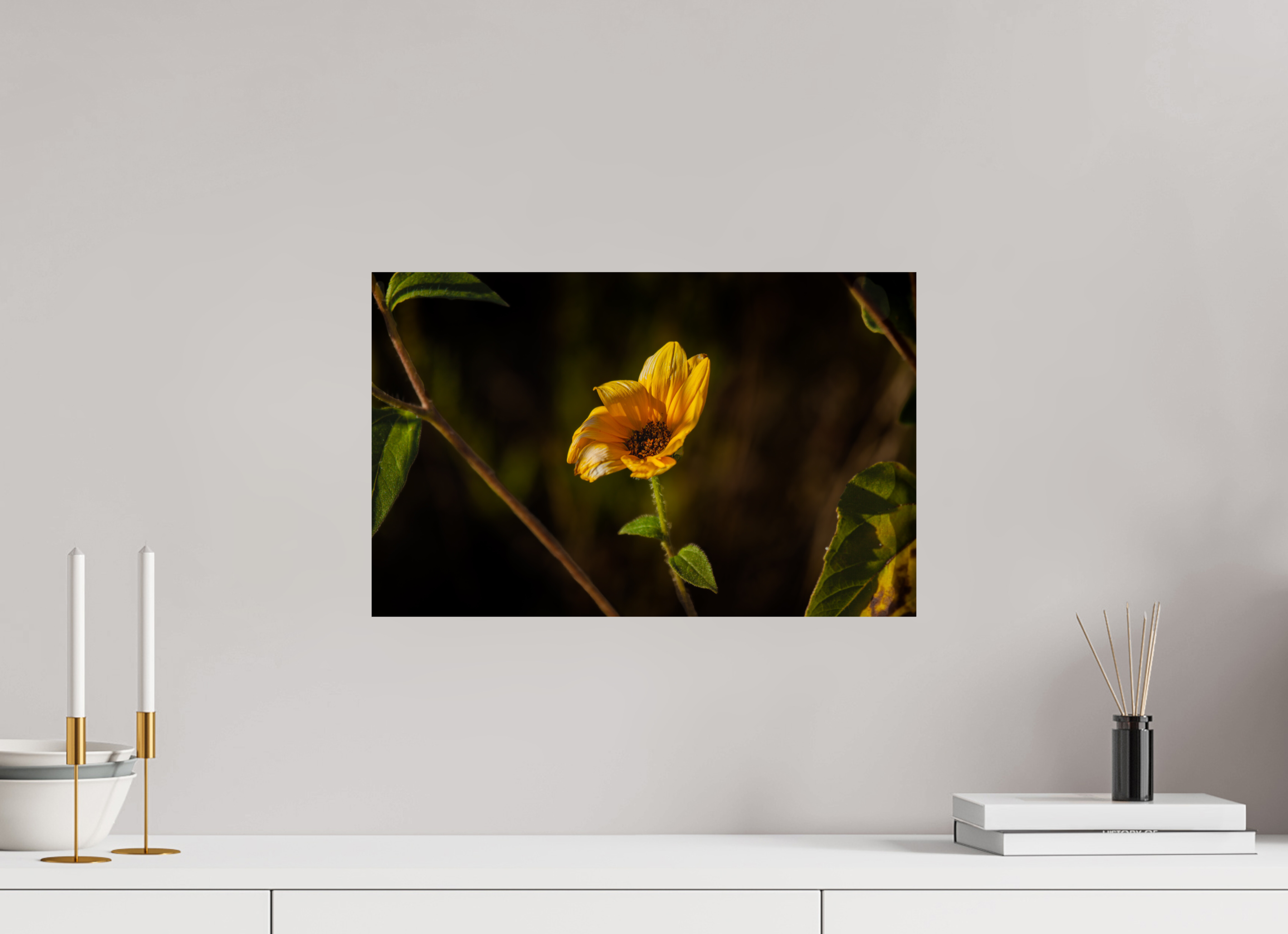 19 x 12″, Photo Print On Fuji Crystal DP II Wild Sunflower Spotlight Salt Lake City Utah