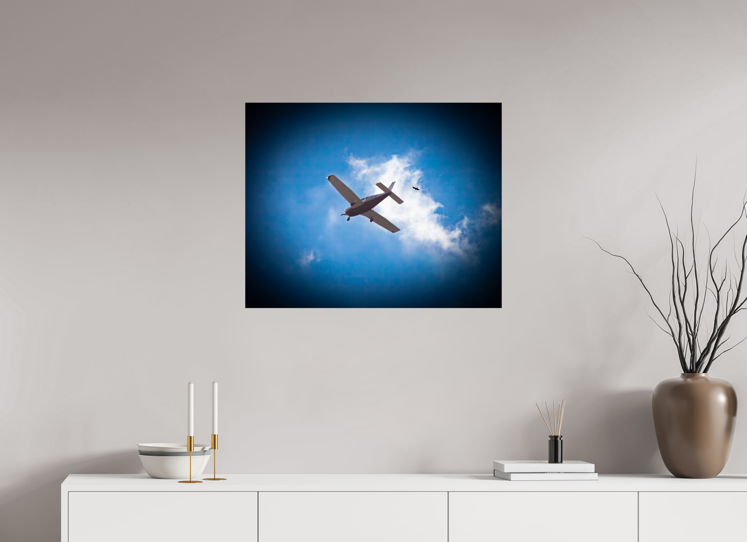 30 x 24″, Photo Print On Fuji Crystal DP II Small Propeller Plane and Bird in Flight West Jordan