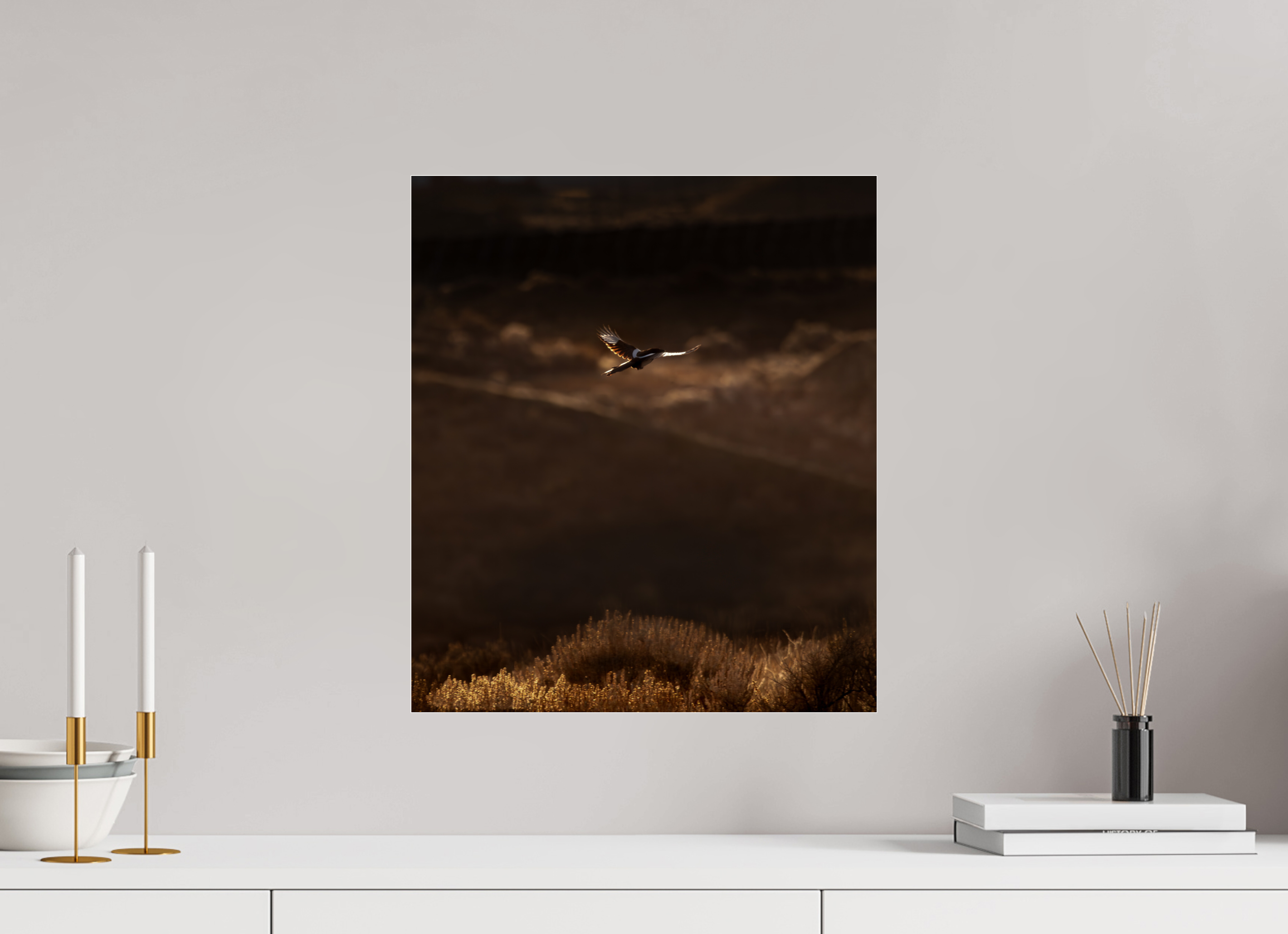 16 x 18.4″, Photo Print Under Acrylic Glass Black-billed Magpie Flight Golden Hour Salt Lake City