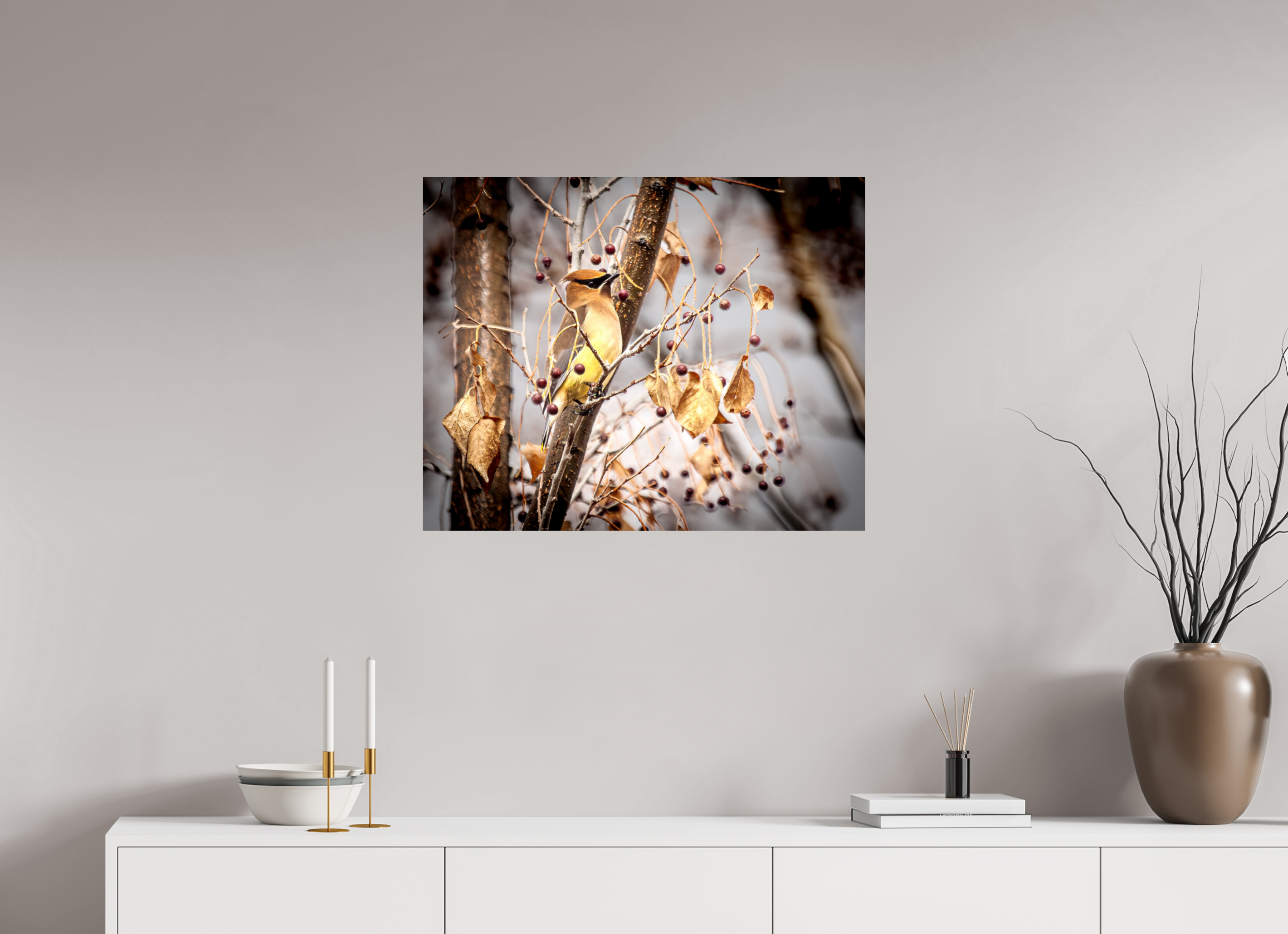 30 x 24″, Photo Print On Fuji Crystal DP II Cedar Waxwing Perched in Winter Berry Tree Salt Lake City