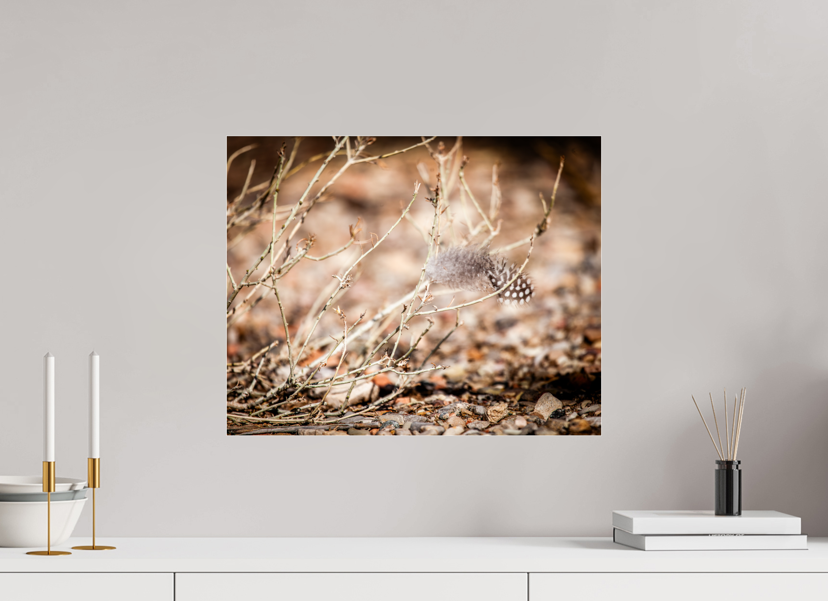 20 x 16″, Photo Print Under Acrylic Glass Spotted Towhee Feather on Winter Shrub Salt Lake City
