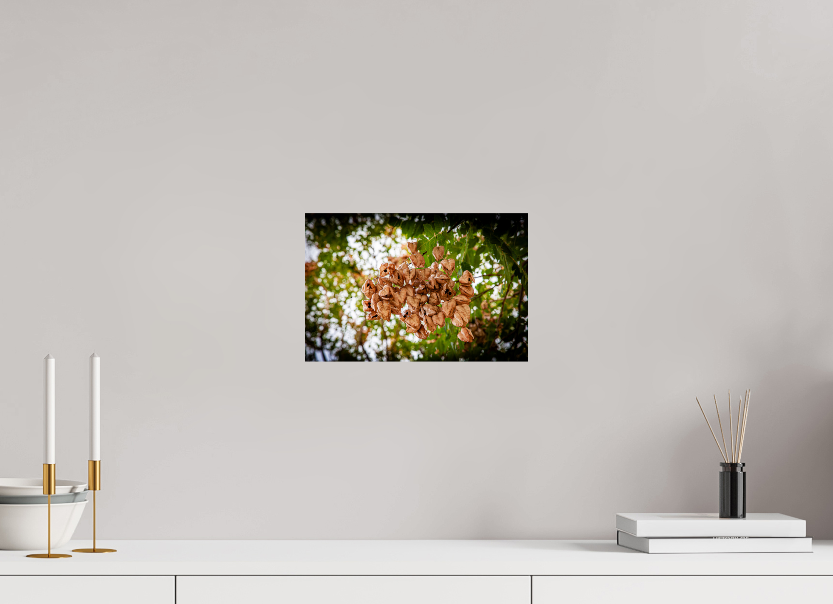 12 x 8″, Photo Print On Fuji Crystal DP II Sunlit Spider Web Golden Hour Salt Lake City