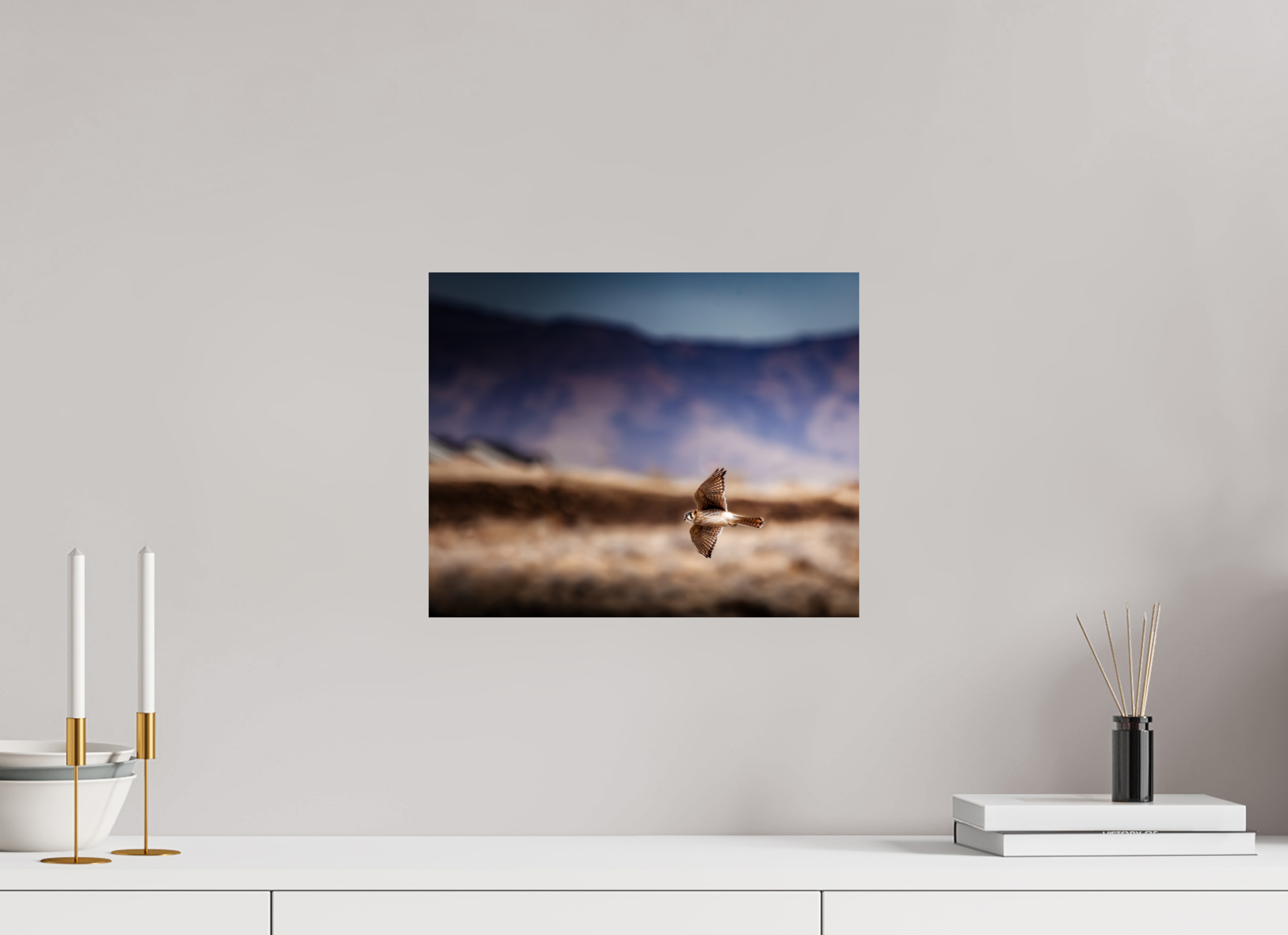 15 x 12″, Photo Print On Fuji Crystal DP II American Kestrel in Flight Salt Lake City Utah Foothills