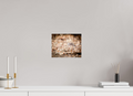 10 x 8″, Photo Print On Fuji Crystal DP II Spotted Towhee Feather on Winter Shrub Salt Lake City