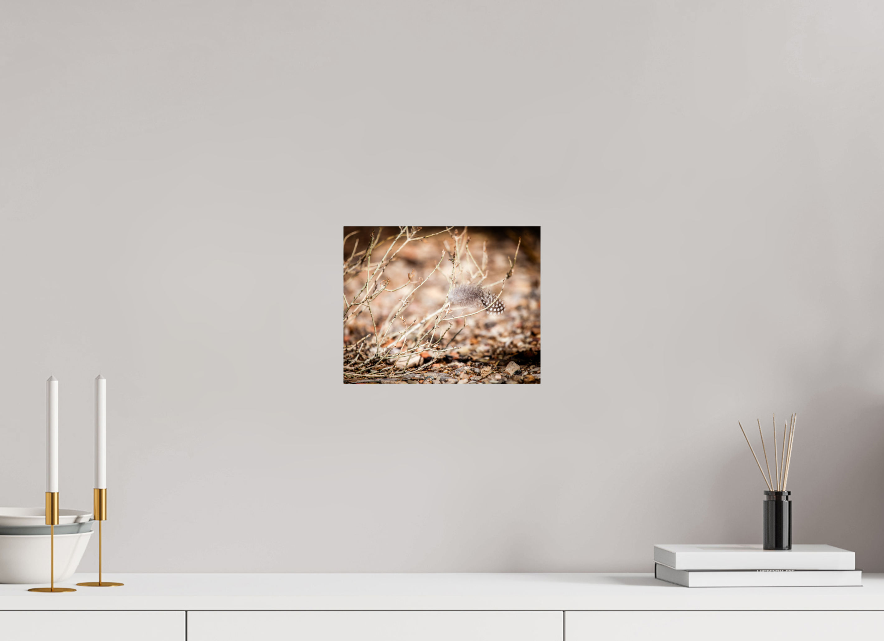 10 x 8″, Photo Print On Fuji Crystal DP II Spotted Towhee Feather on Winter Shrub Salt Lake City