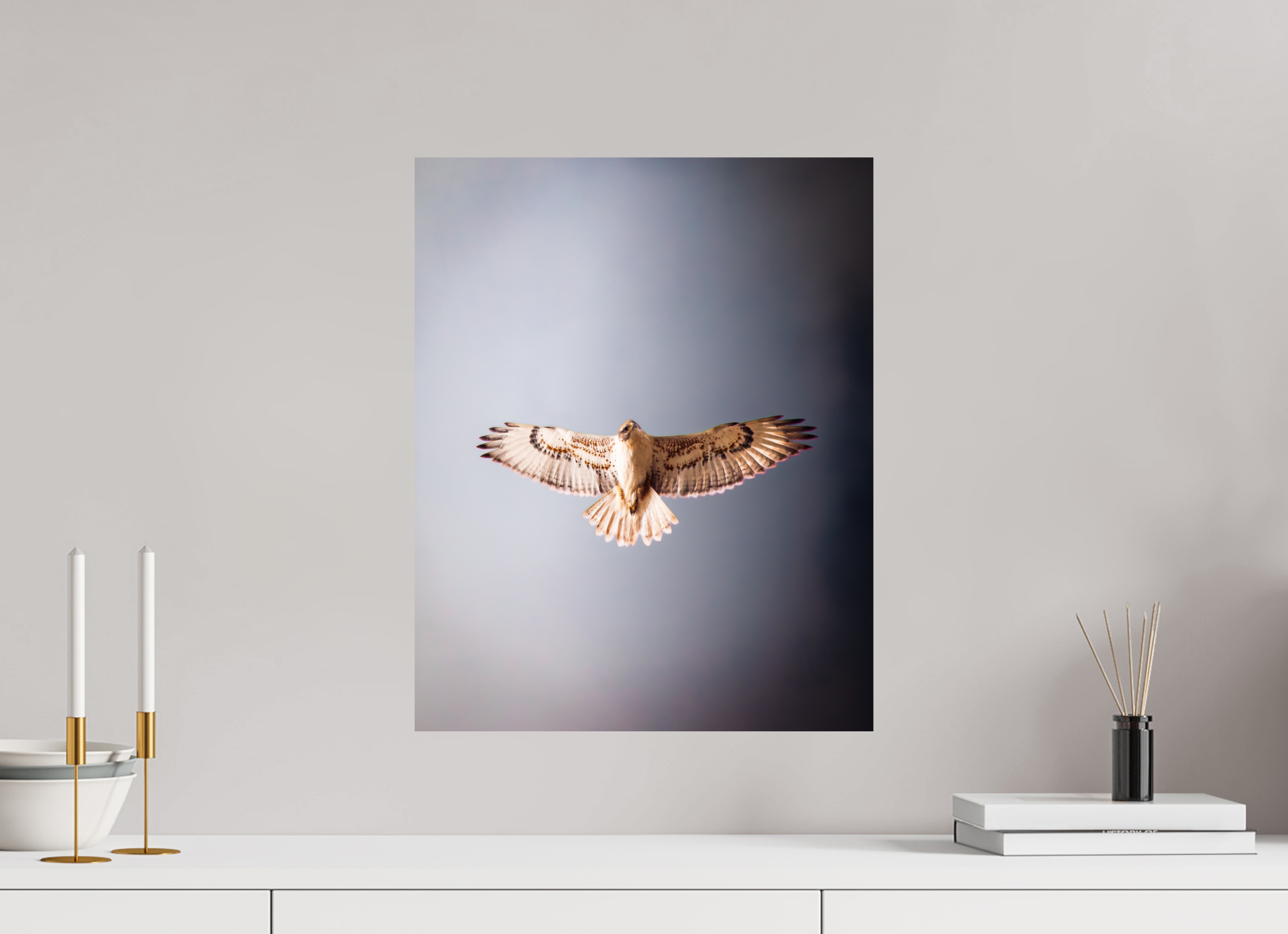 16 x 20″, Photo Print On Fuji Crystal DP II Red-tailed Hawk Soaring Overhead Salt Lake City