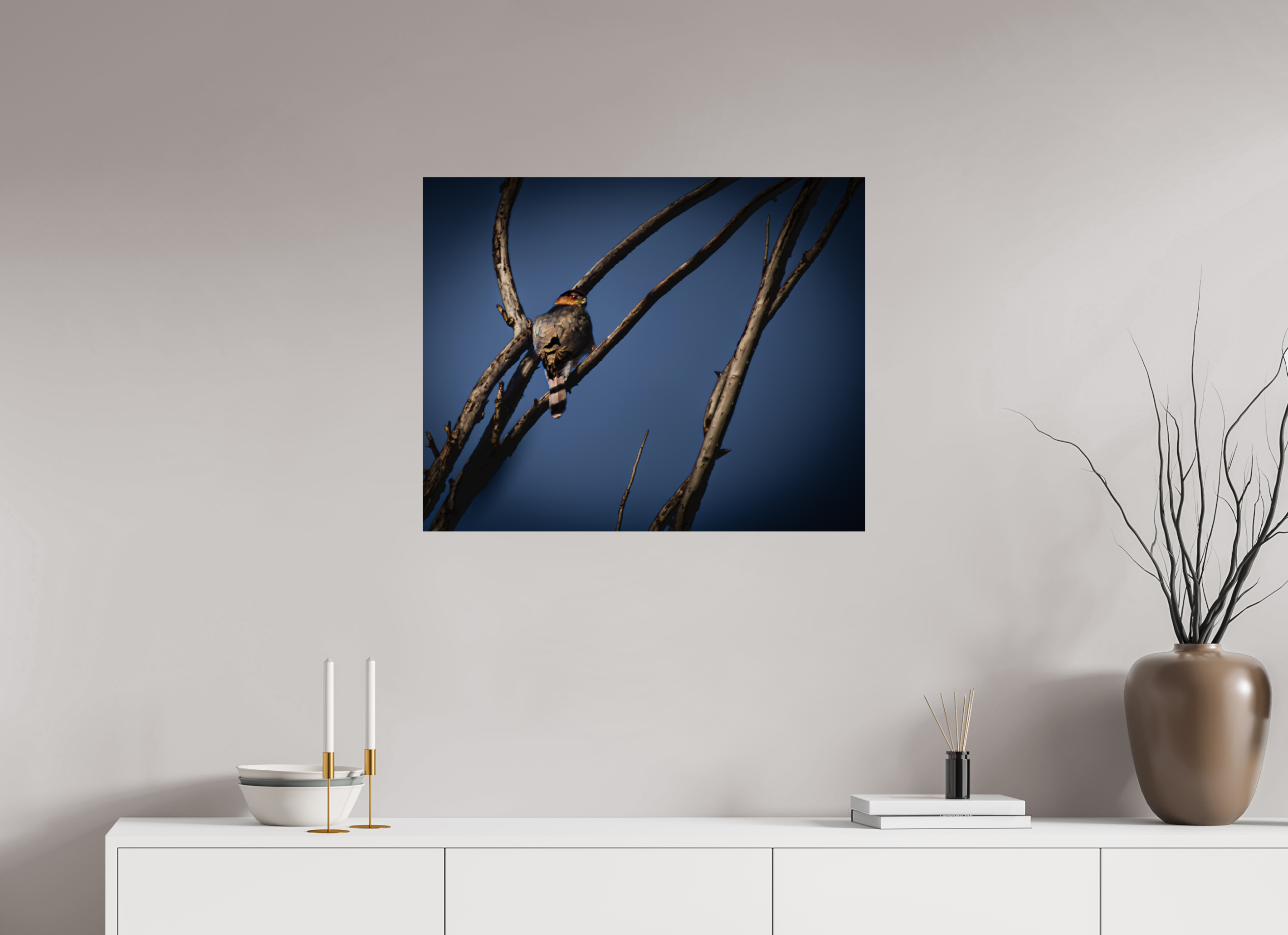 30 x 24″, Photo Print On Fuji Crystal DP II Adult Cooper's Hawk Perched on Bare Branch Salt Lake City