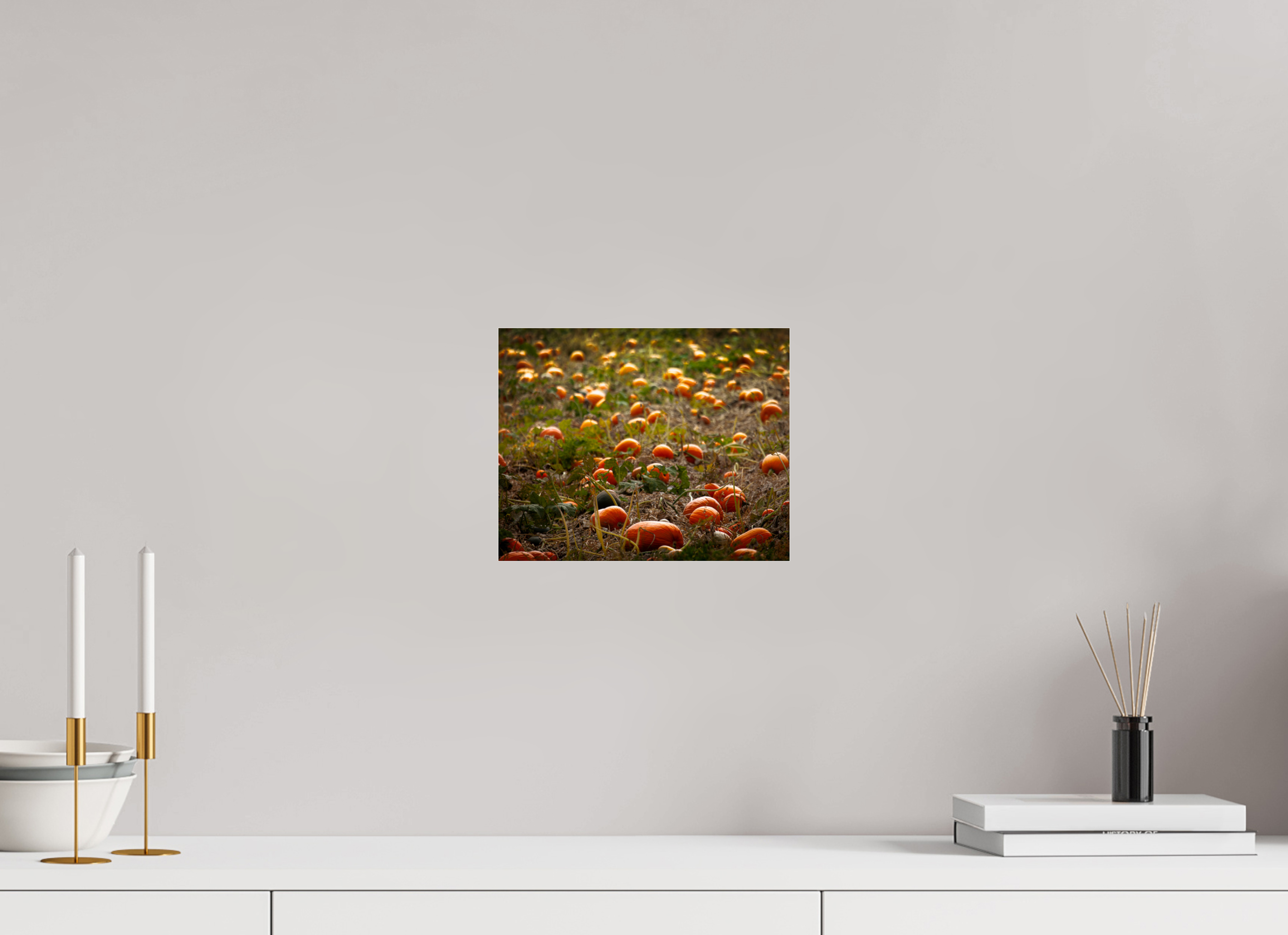 10 x 8″, Photo Print Under Acrylic Glass Autumn Pumpkin Patch Salt Lake City Utah Harvest