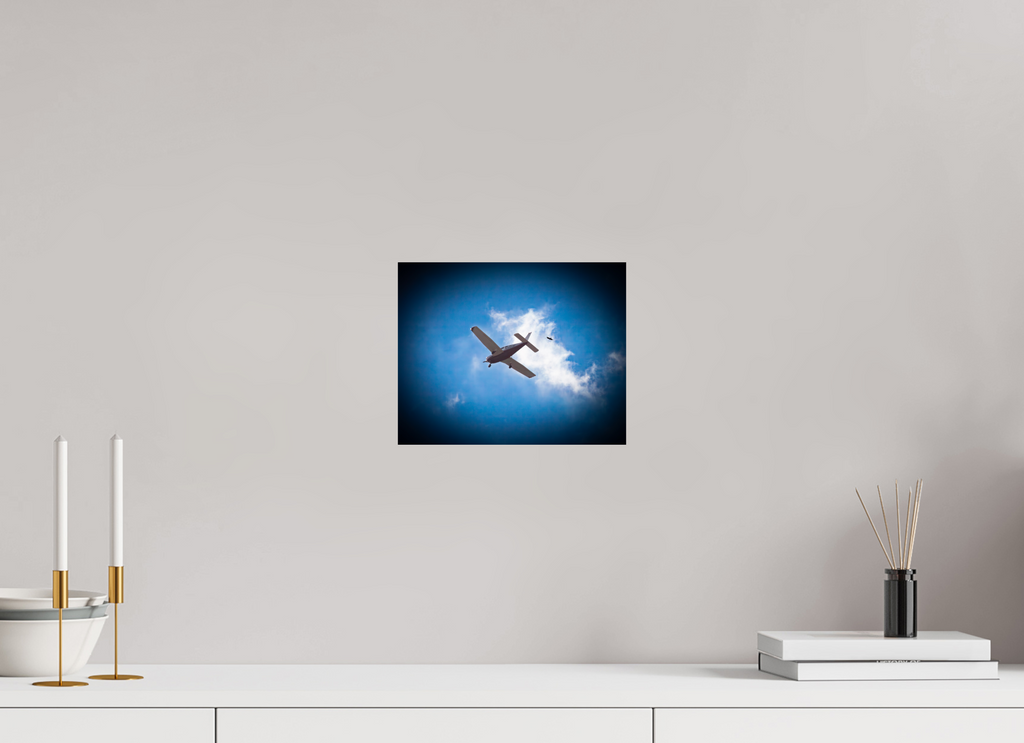 10 x 8″, Photo Print On Fuji Crystal DP II Small Propeller Plane and Bird in Flight West Jordan
