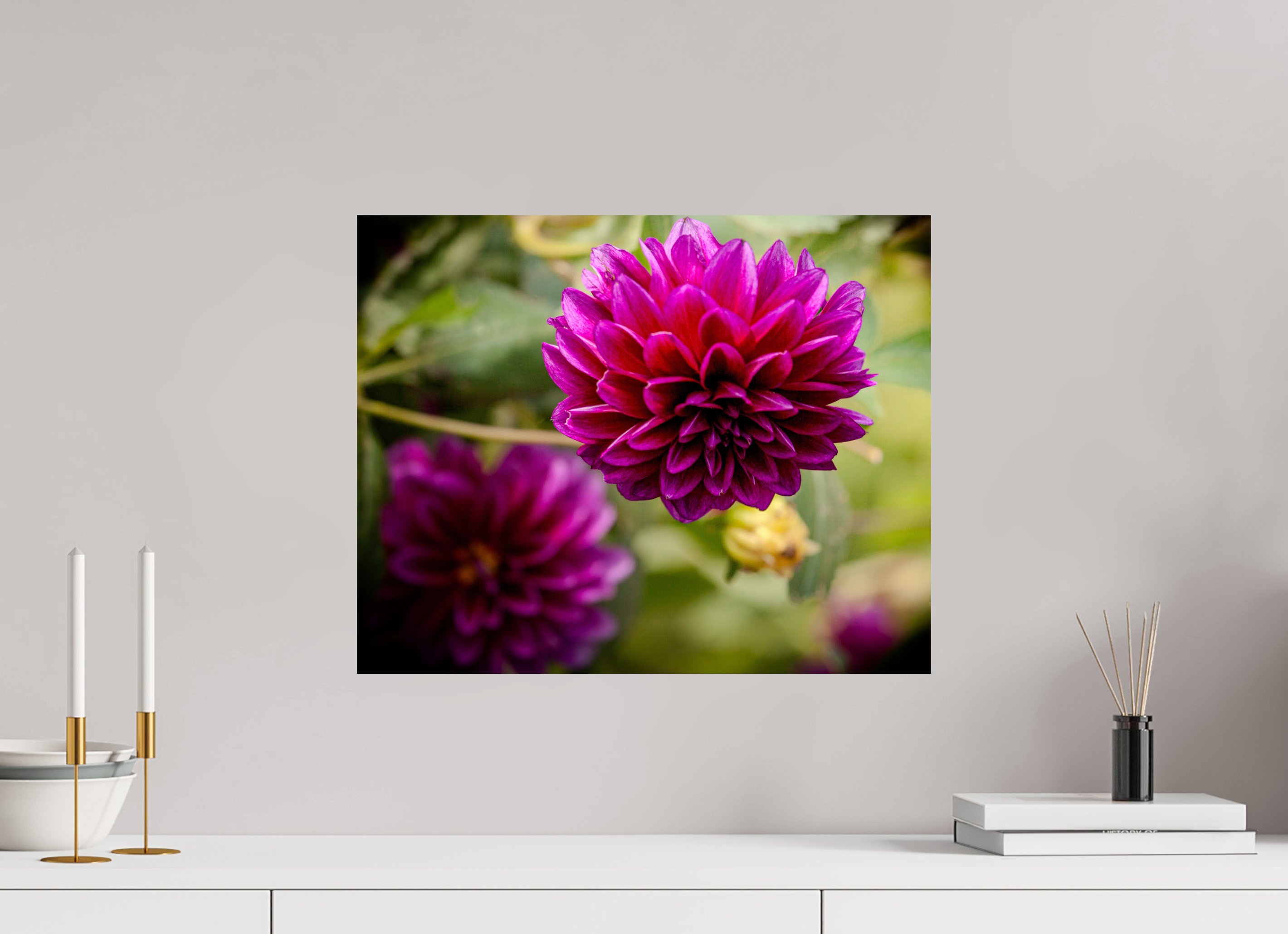 20 x 16″, Photo Print On Fuji Crystal DP II Vibrant Purple Dahlia Bloom Salt Lake City