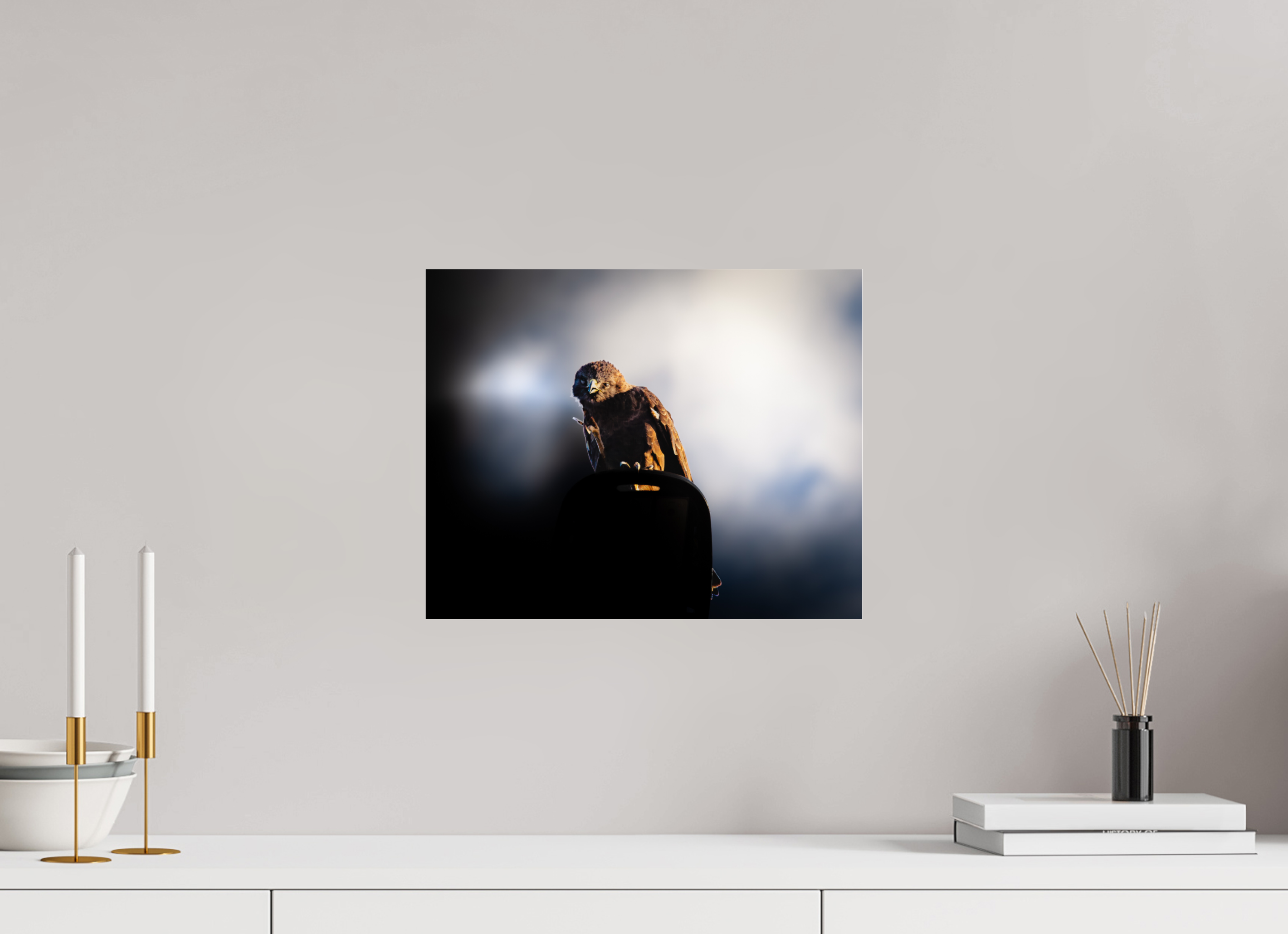 15 x 12″, Photo Print Under Acrylic Glass Majestic Dark Hawk Perched on an Urban Street Light at Golden Hour