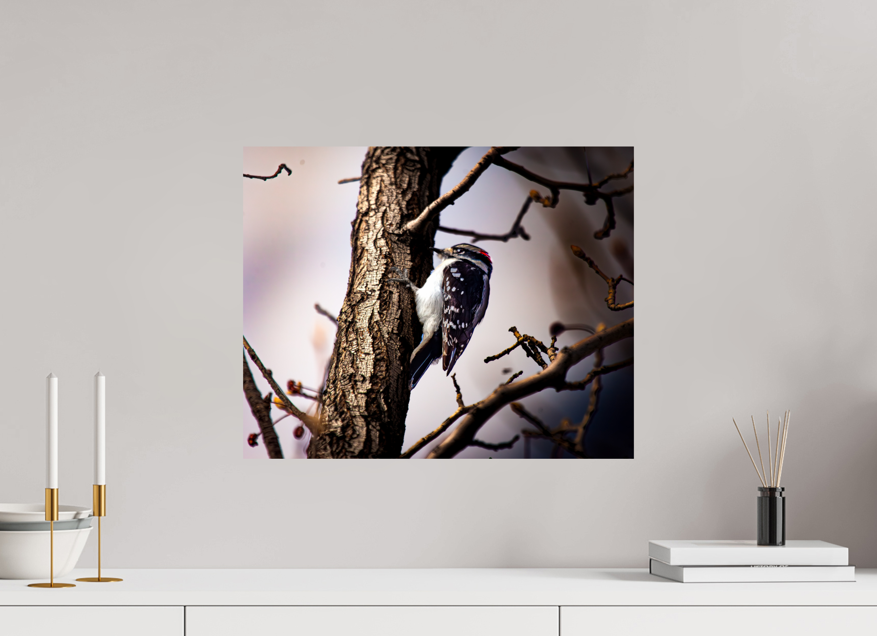 20 x 16″, Photo Print On Fuji Crystal DP II Male Downy Woodpecker on Tree Trunk Salt Lake City