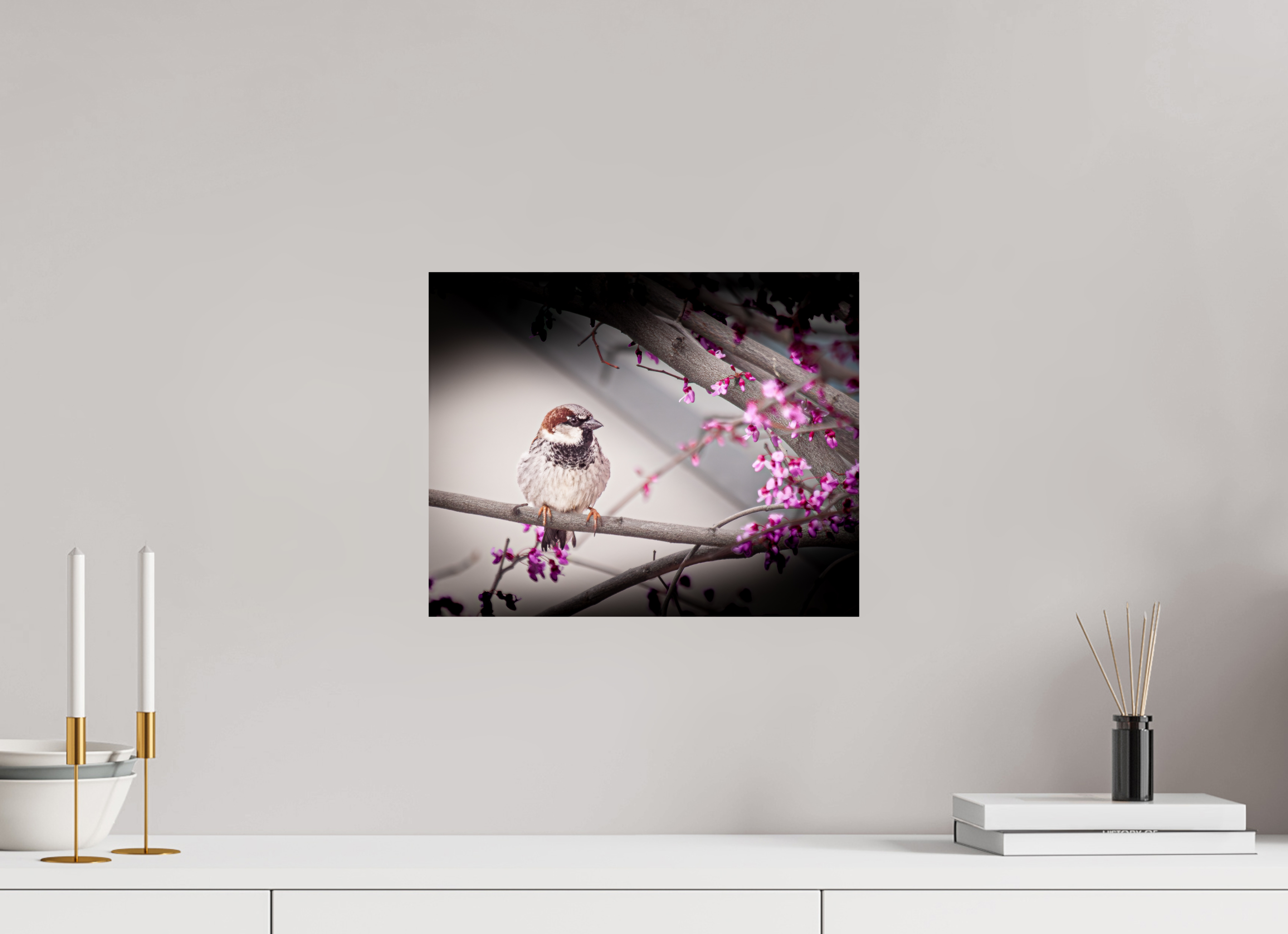15 x 12″, Photo Print On Fuji Crystal DP II House Sparrow on Spring Redbud Branch Salt Lake City