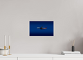 13 x 8″, Photo Print On Fuji Crystal DP II Delta Team USA Airbus A330neo Salt Lake City