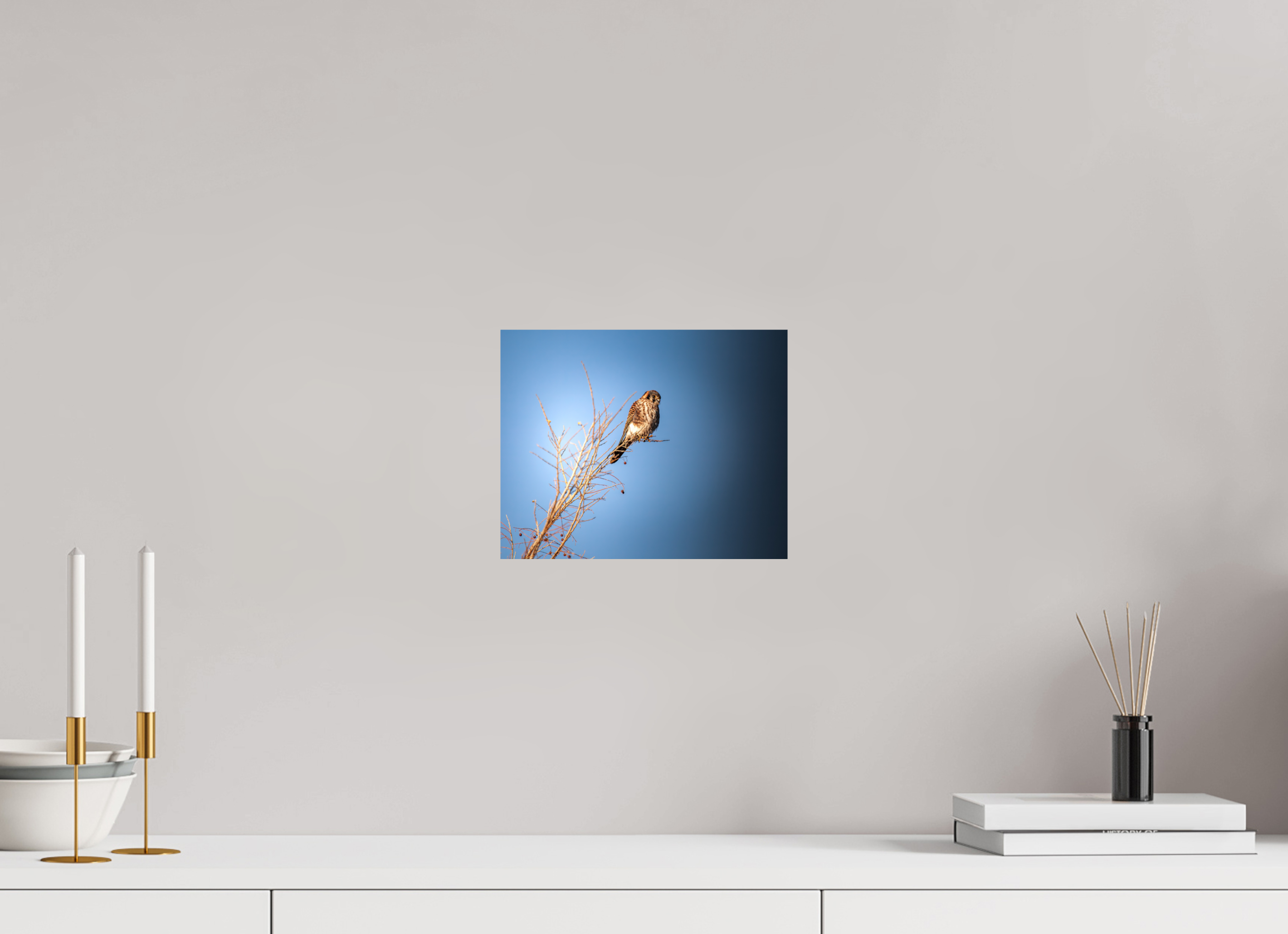 10 x 8″, Photo Print On Fuji Crystal DP II Female American Kestrel Perched in Salt Lake City