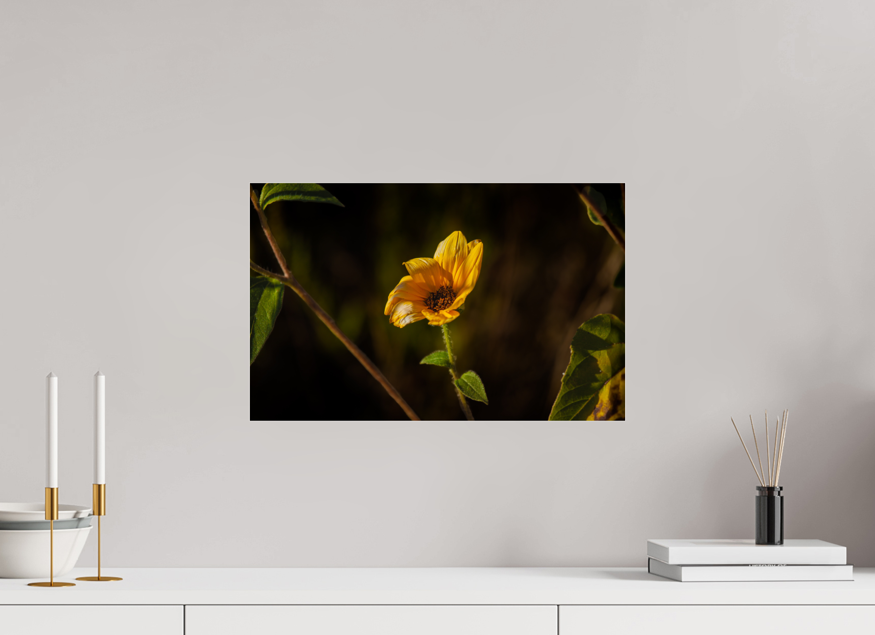19 x 12″, Photo Print Under Acrylic Glass Wild Sunflower Spotlight Salt Lake City Utah