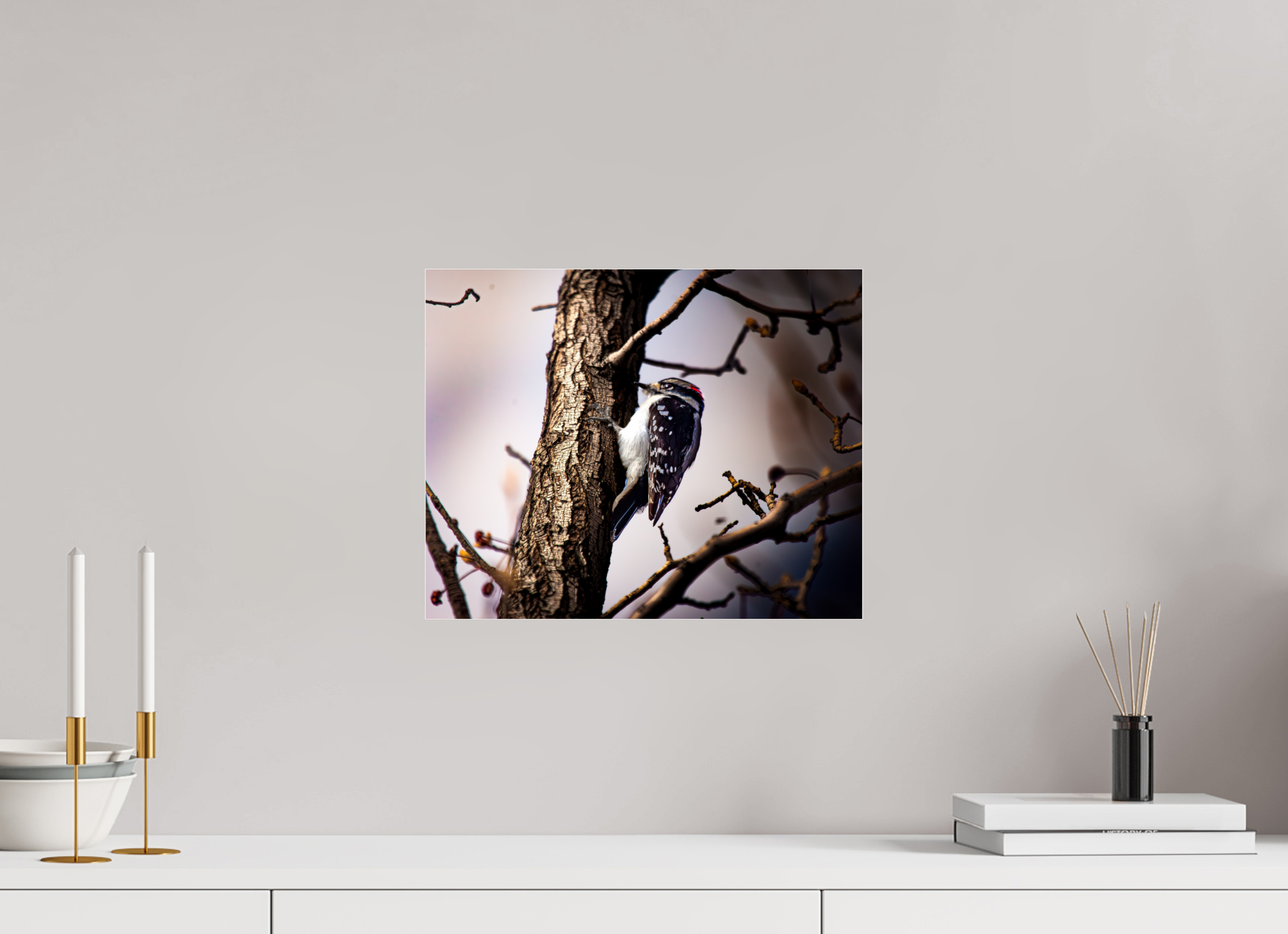 15 x 12″, Photo Print Under Acrylic Glass Male Downy Woodpecker on Tree Trunk Salt Lake City