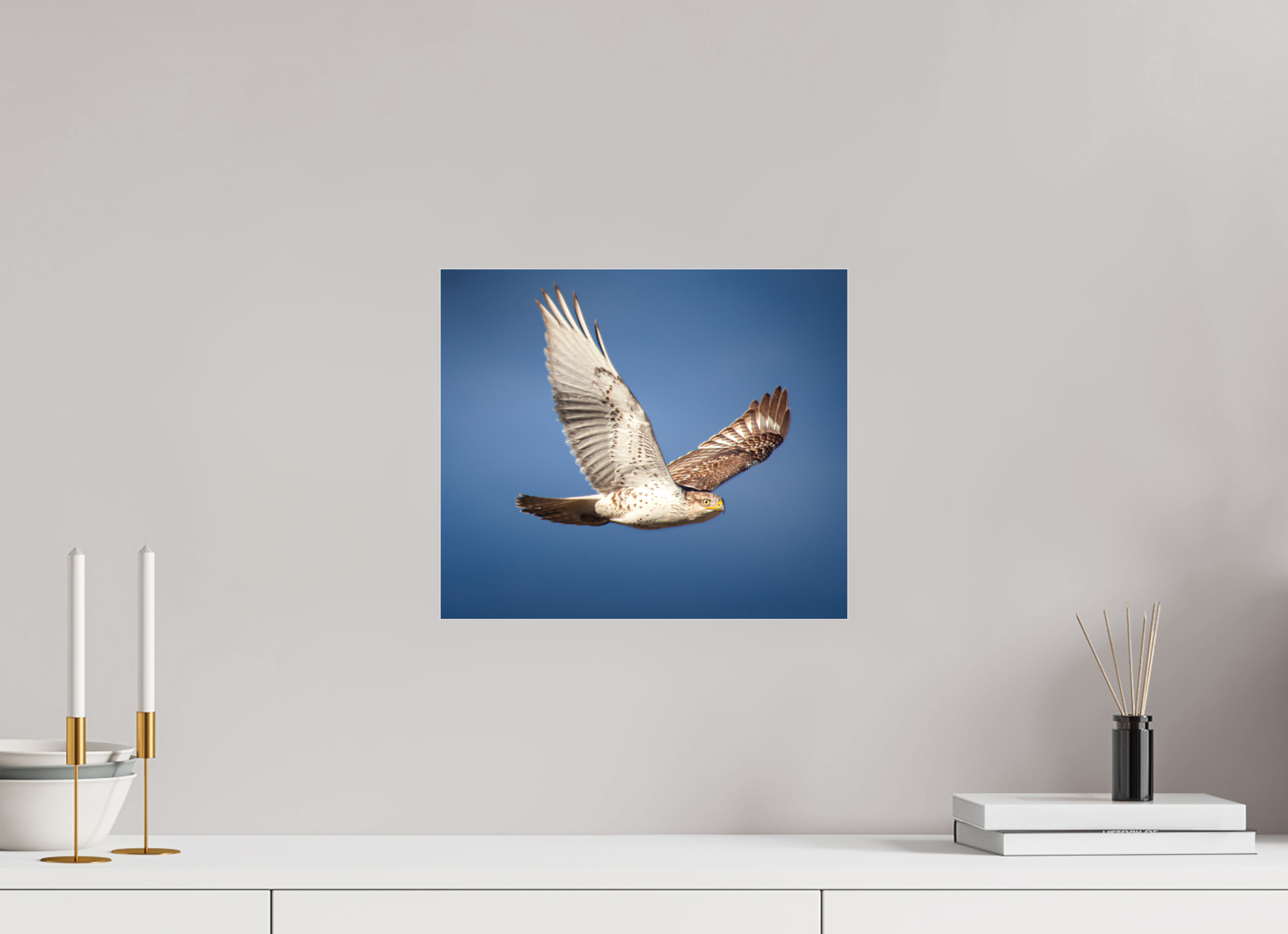 14 x 12″, Photo Print Under Acrylic Glass Ferruginous Hawk in Flight South Valley Regional Airport Utah