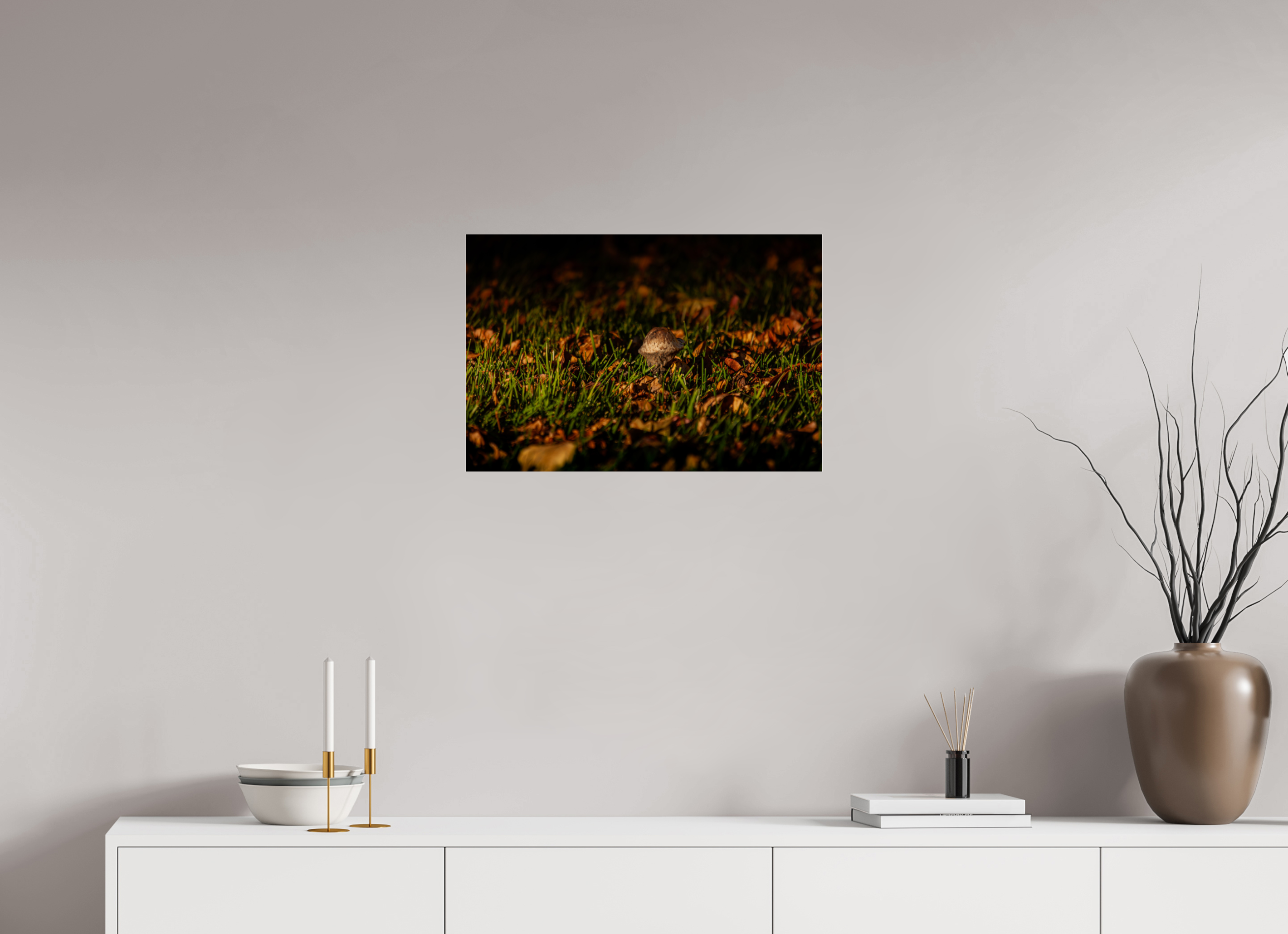 24 x 16″, Photo Print Under Acrylic Glass Autumn Mushroom in Fallen Leaves Salt Lake City Label: Nature Photography