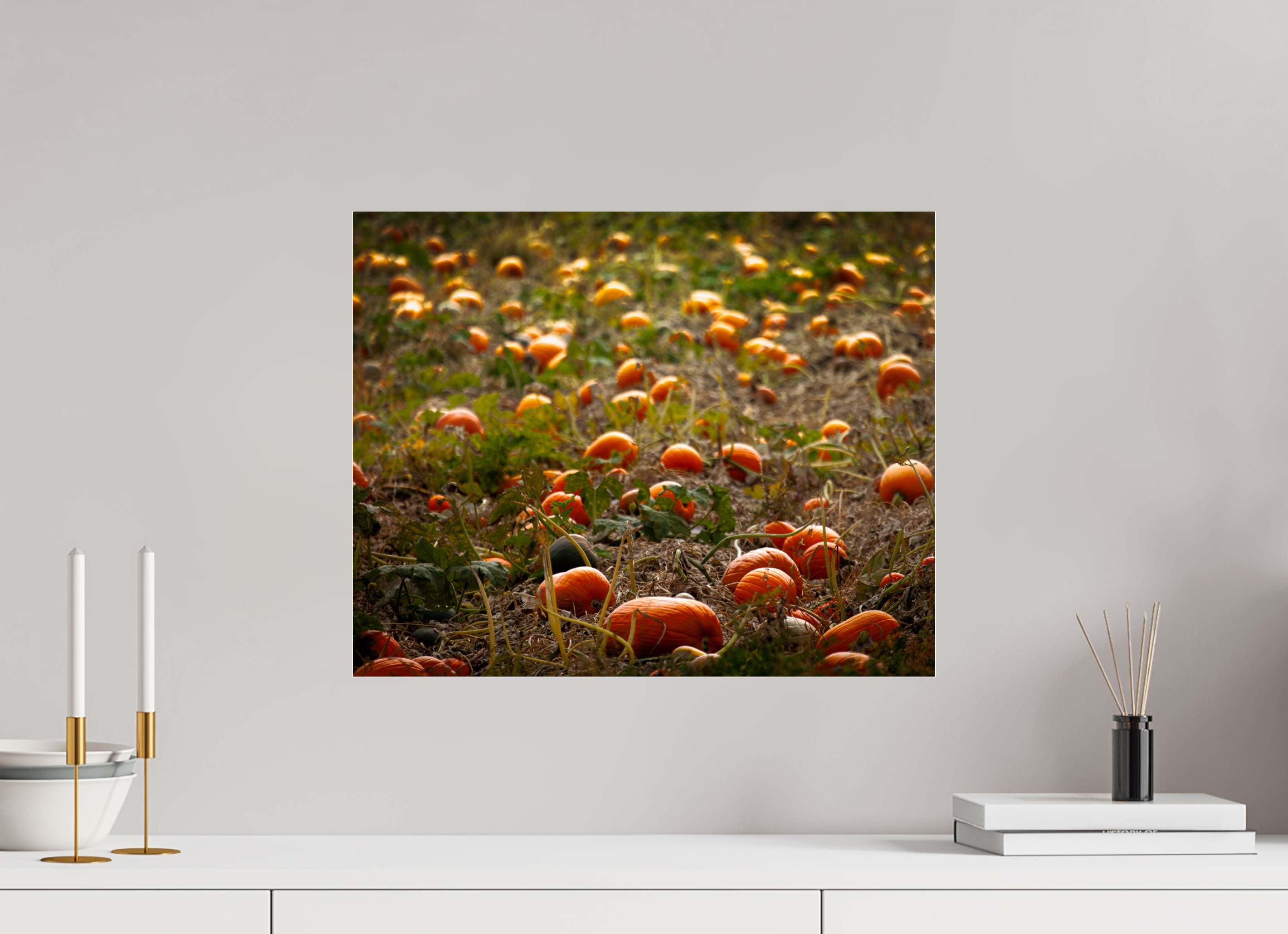 20 x 16″, Photo Print Under Acrylic Glass Autumn Pumpkin Patch Salt Lake City Utah Harvest