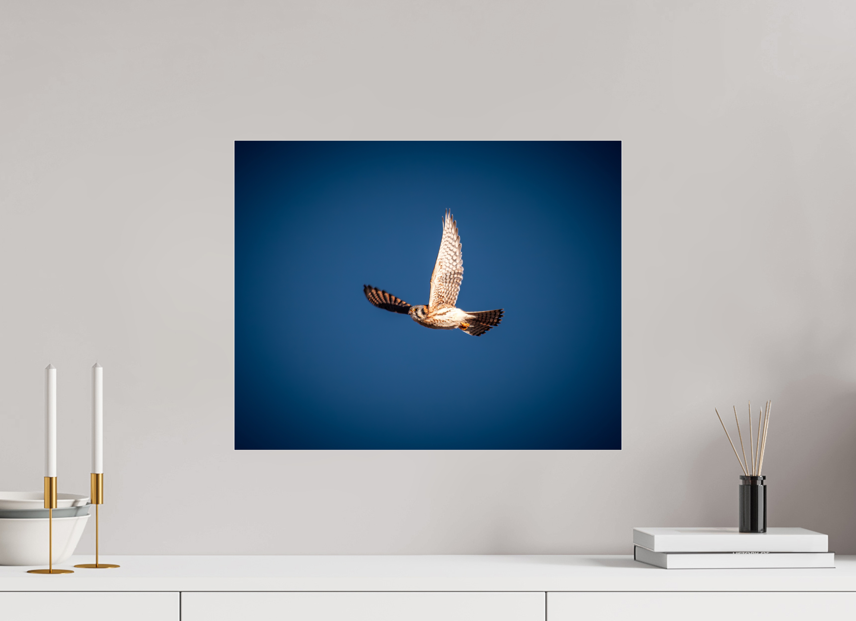 20 x 16″, Photo Print Under Acrylic Glass American Kestrel Soaring in Deep Blue Sky Salt Lake City