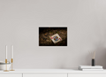 12 x 8″, Photo Print On Fuji Crystal DP II King of Hearts Playing Card on Ground Salt Lake City