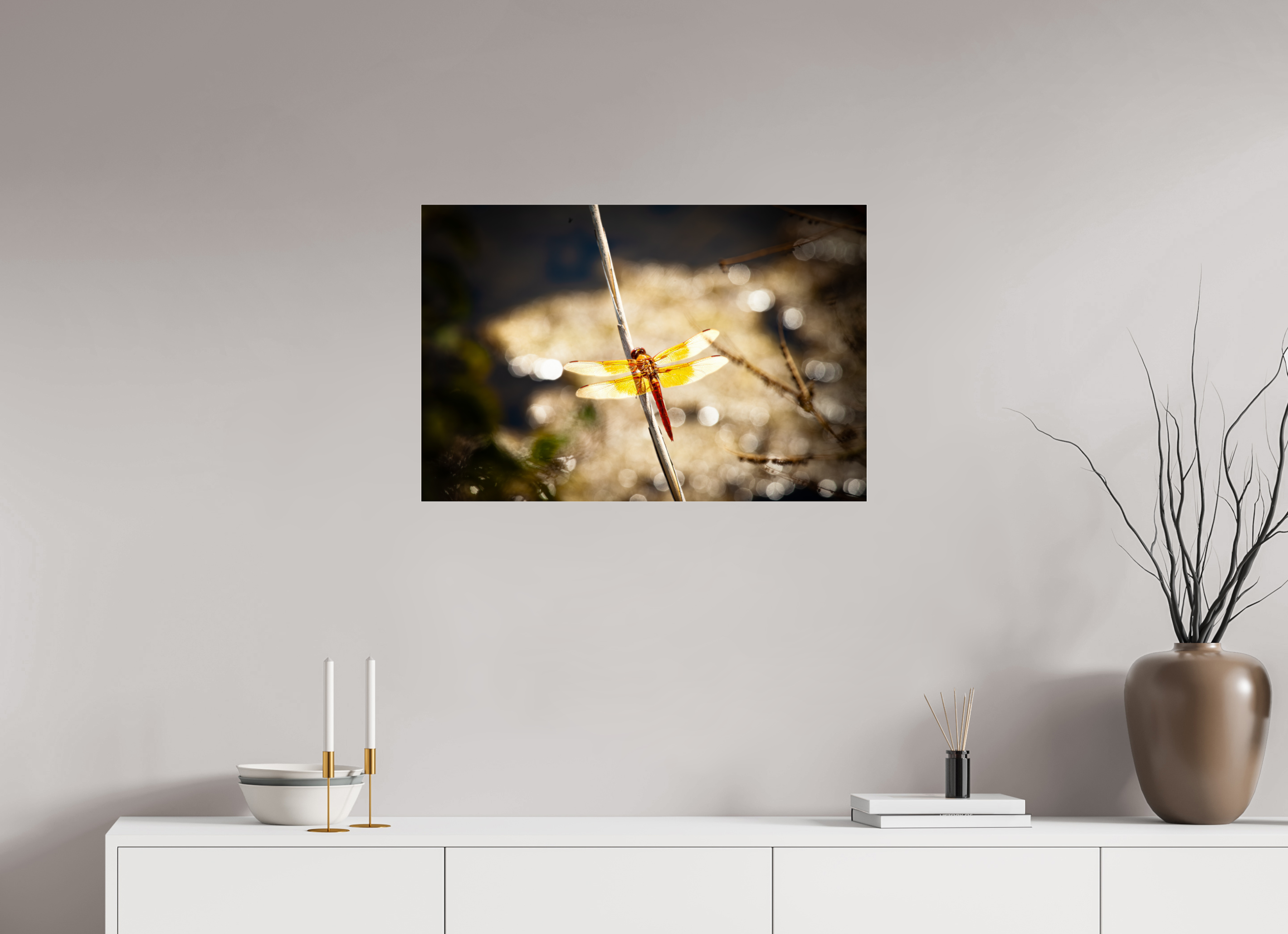 30 x 20″, Photo Print Under Acrylic Glass Flame Skimmer Dragonfly Backlit Salt Lake City Utah