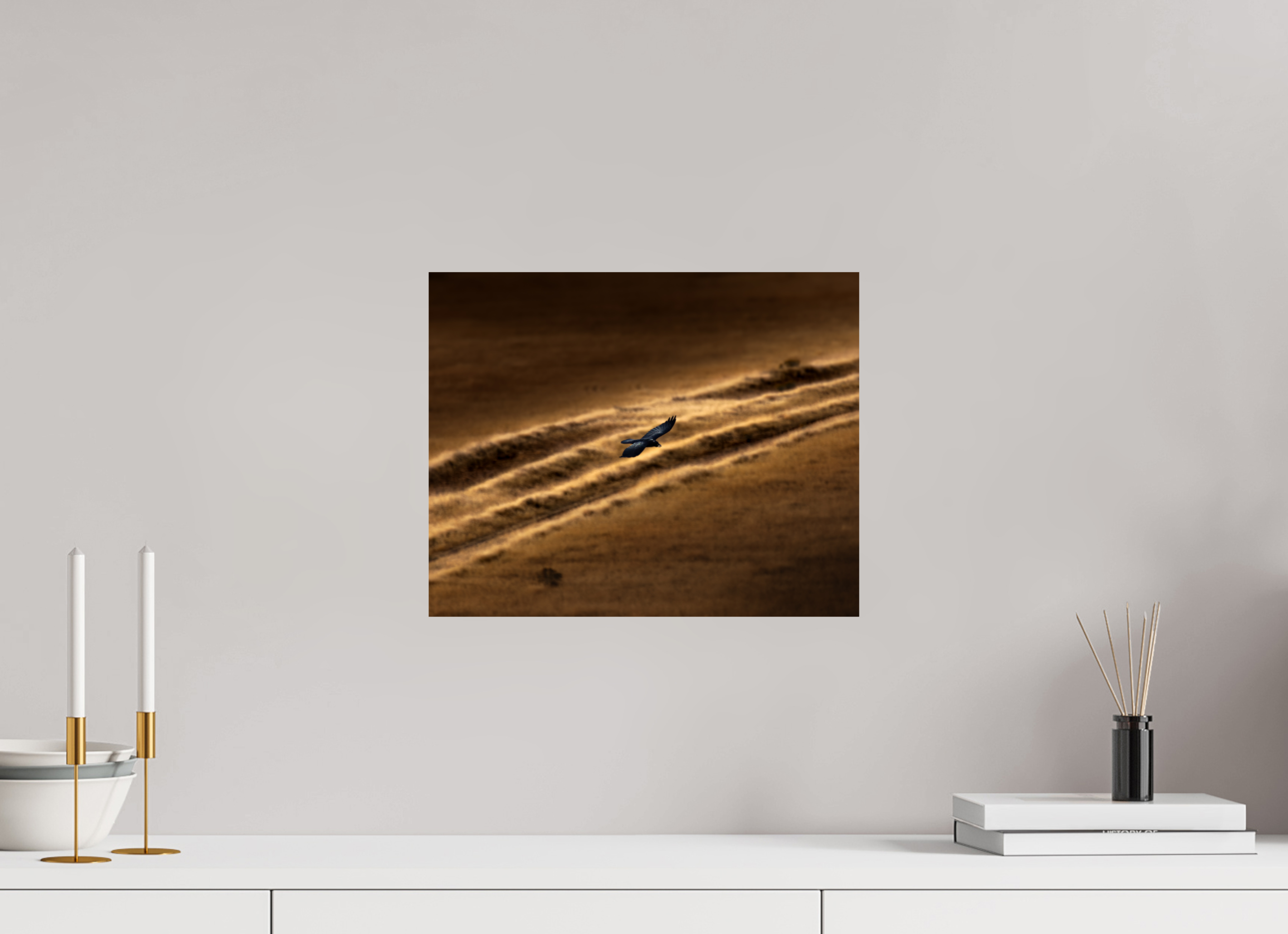 15 x 12″, Photo Print On Fuji Crystal DP II Common Raven Soaring Golden Hour Salt Lake City