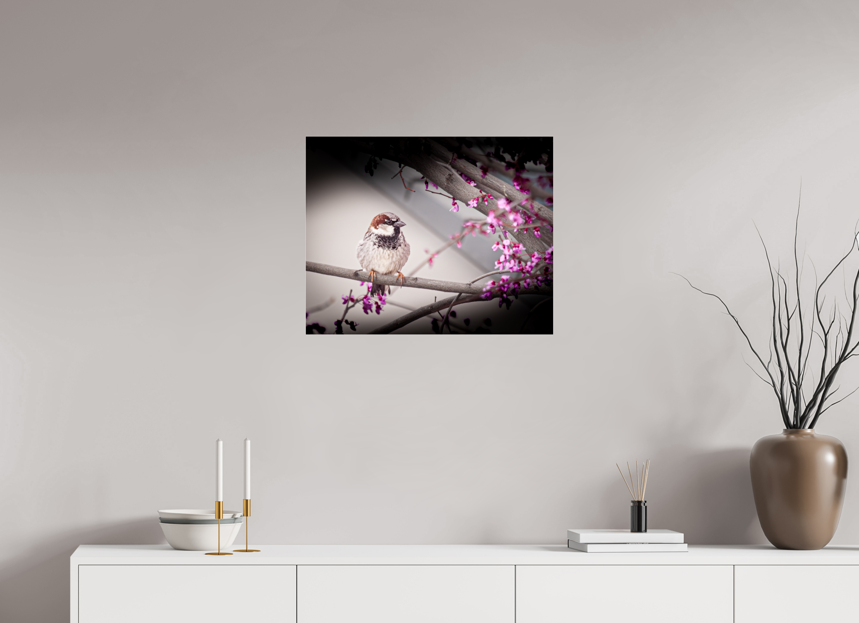 25 x 20″, Photo Print Under Acrylic Glass House Sparrow on Spring Redbud Branch Salt Lake City