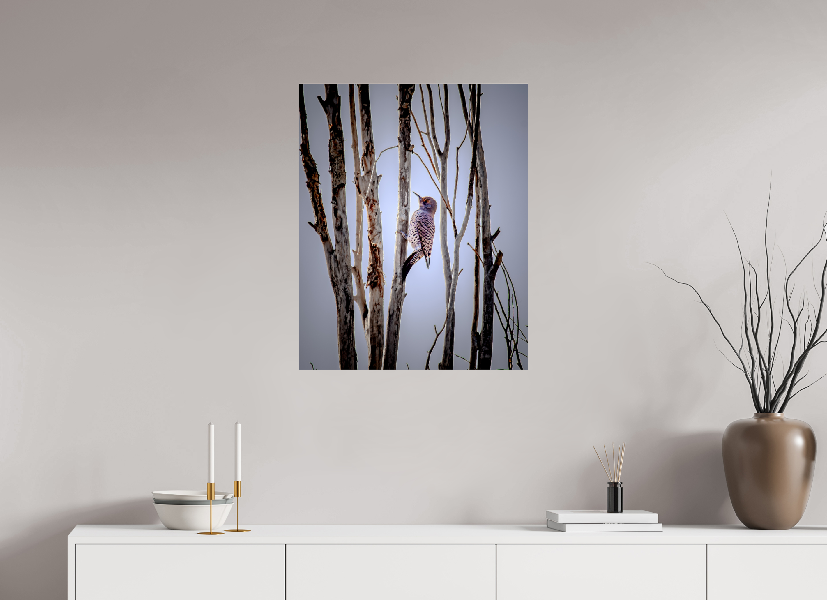 24 x 30″, Photo Print Under Acrylic Glass Northern Flicker on Dead Tree Salt Lake City Utah