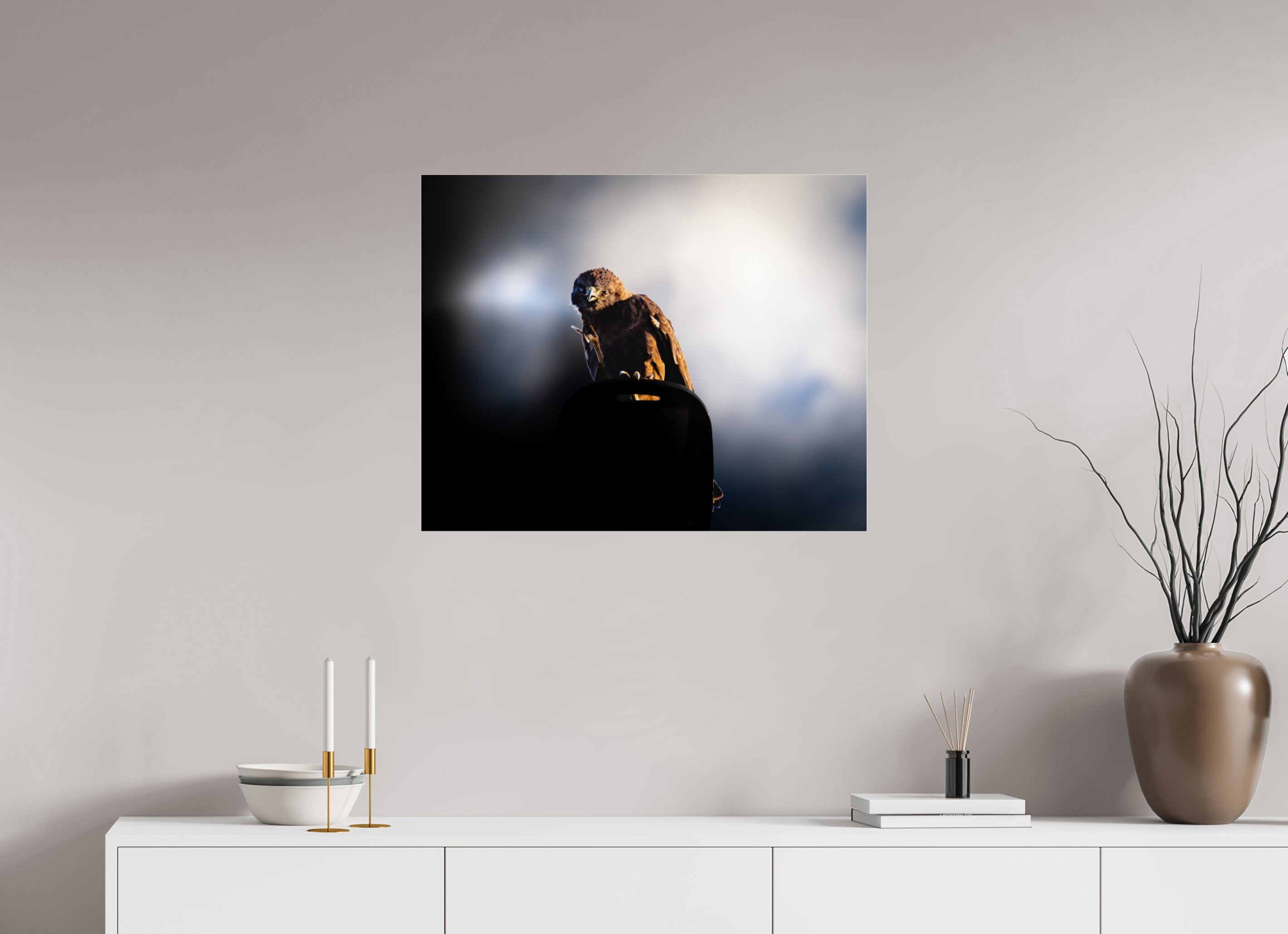 30 x 24″, Photo Print Under Acrylic Glass Majestic Dark Hawk Perched on an Urban Street Light at Golden Hour