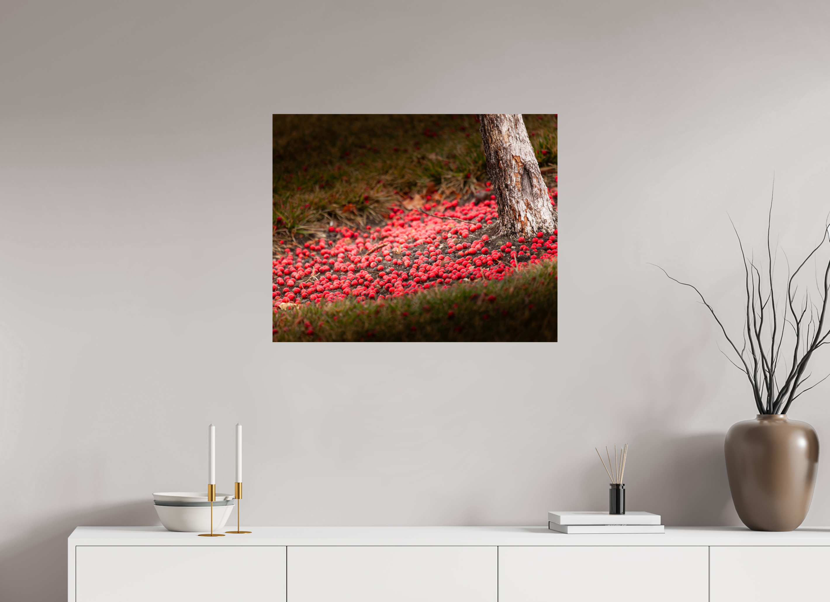 30 x 24″, Photo Print On Fuji Crystal DP II Fallen Red Crabapples Salt Lake City Winter