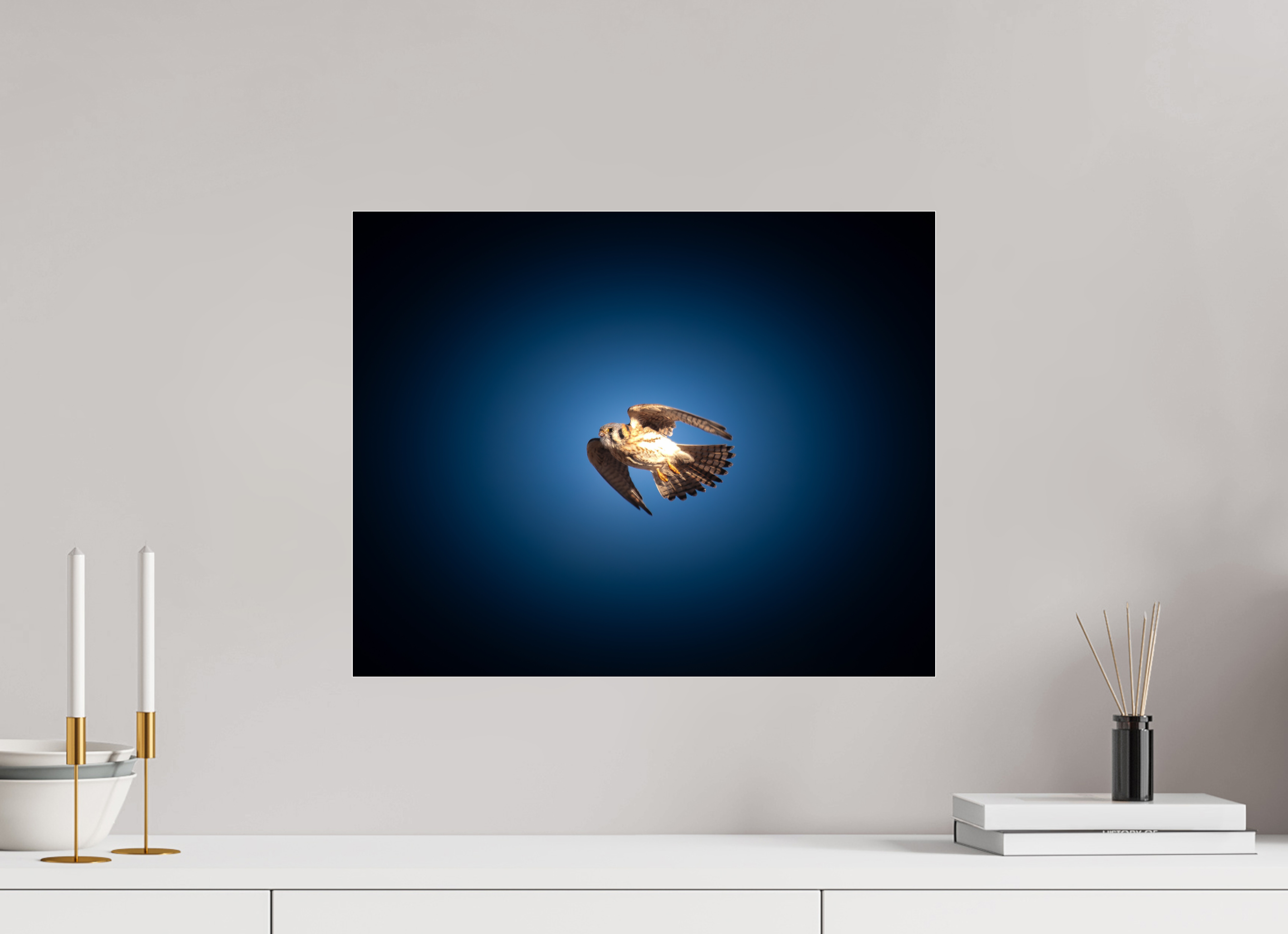 20 x 16″, Photo Print Under Acrylic Glass American Kestrel Soaring in Moody Blue Sky Salt Lake City