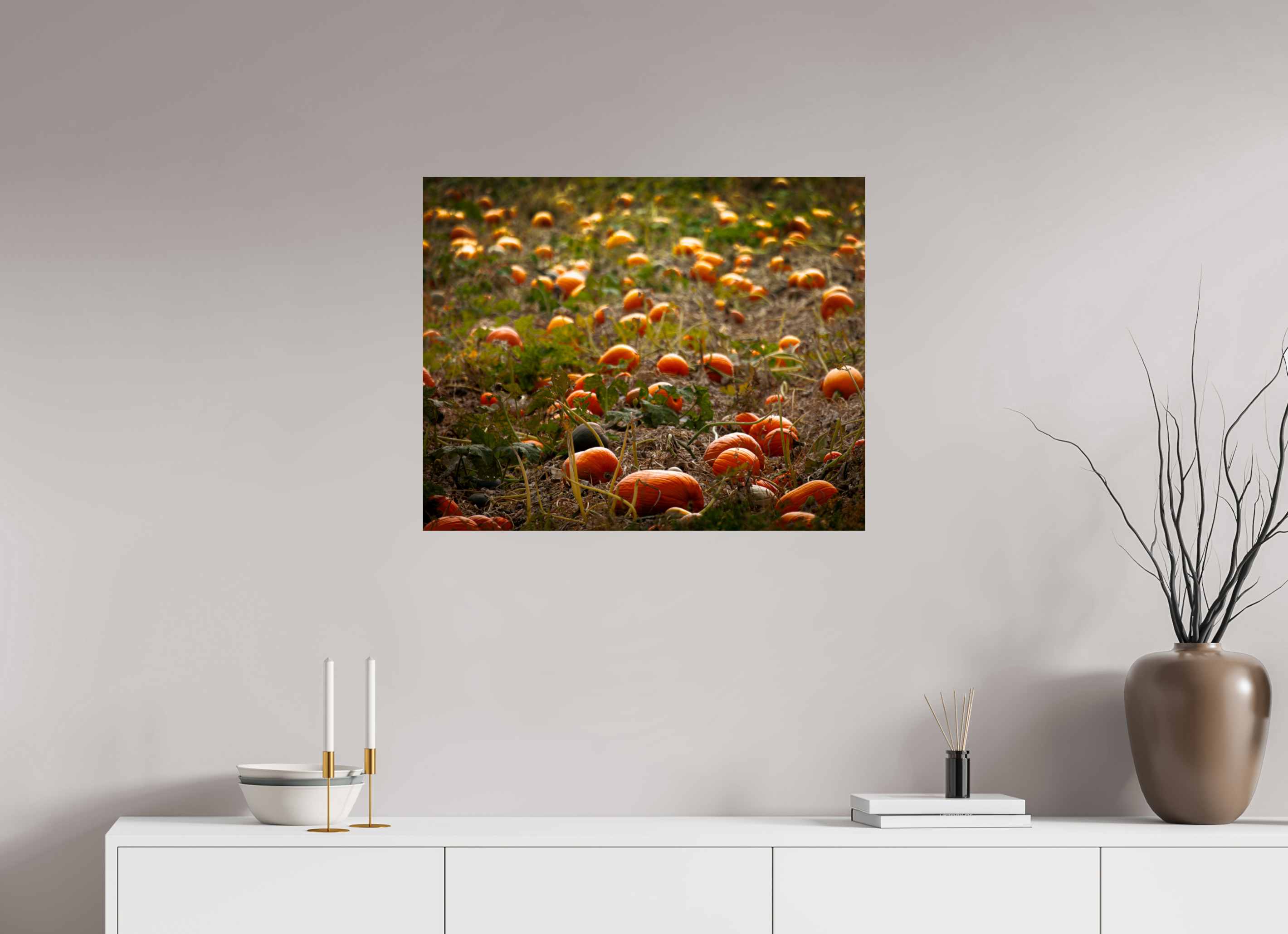 30 x 24″, Photo Print On Fuji Crystal DP II Autumn Pumpkin Patch Salt Lake City Utah Harvest