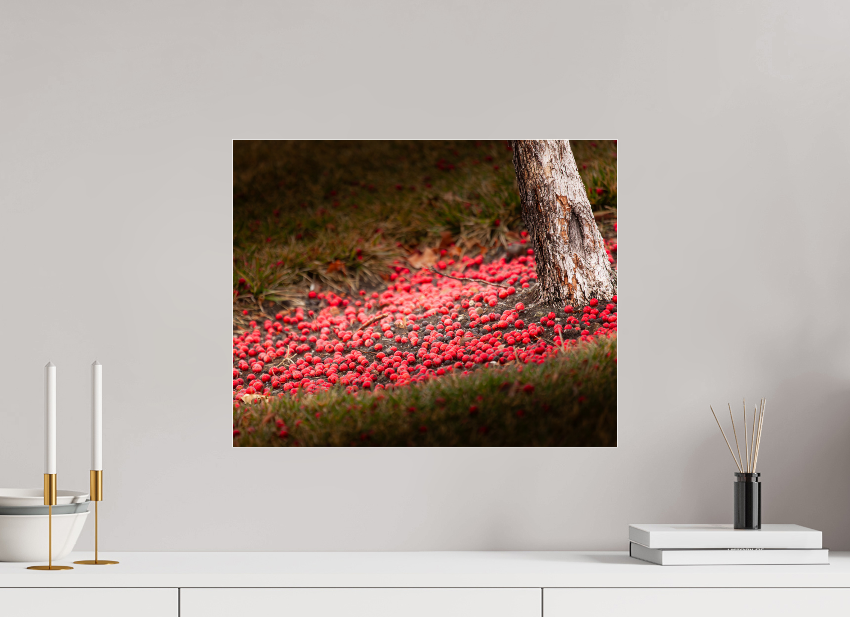 20 x 16″, Photo Print Under Acrylic Glass Fallen Red Crabapples Salt Lake City Winter