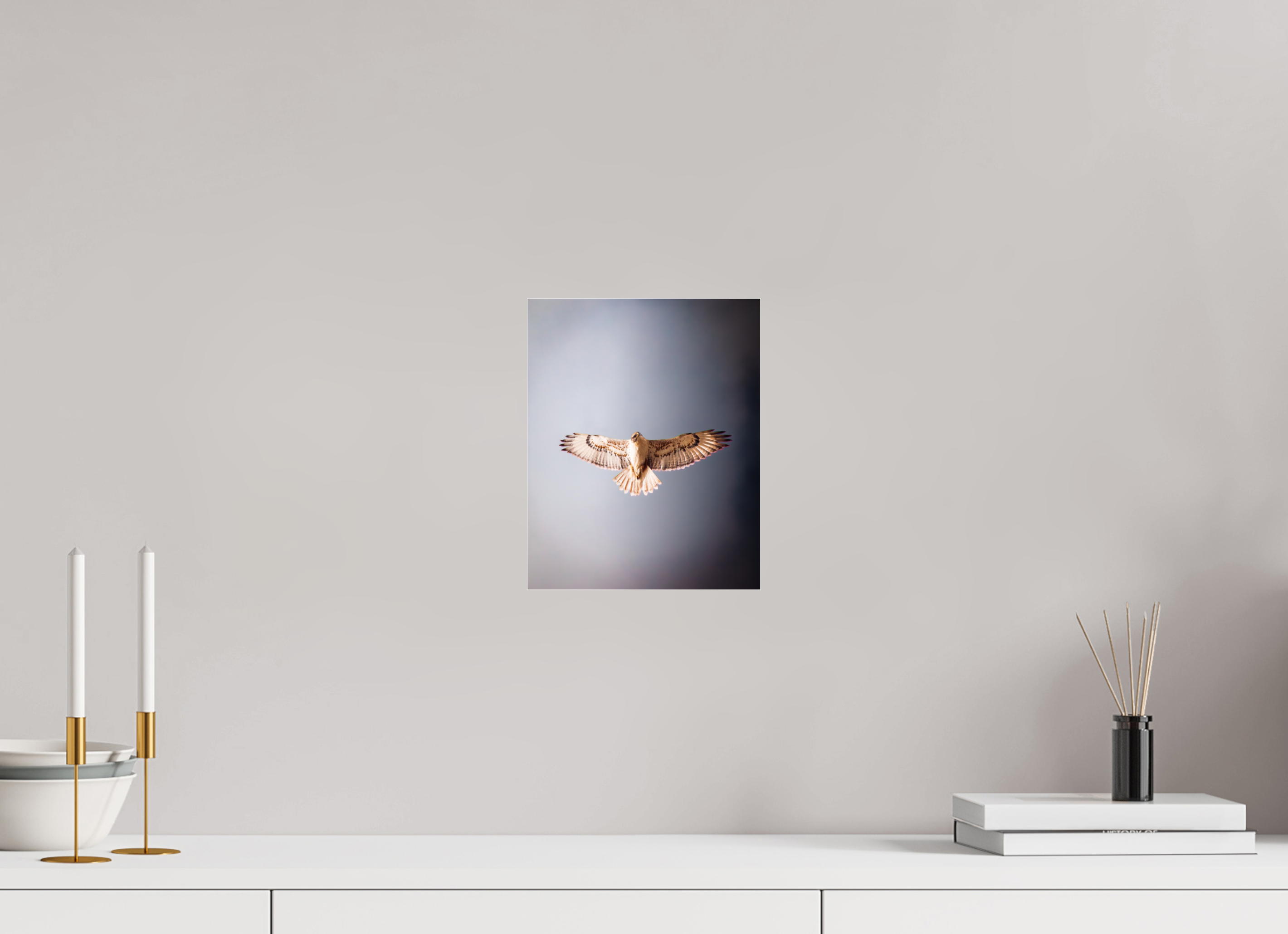 8 x 10″, Photo Print Under Acrylic Glass Red-tailed Hawk Soaring Overhead Salt Lake City