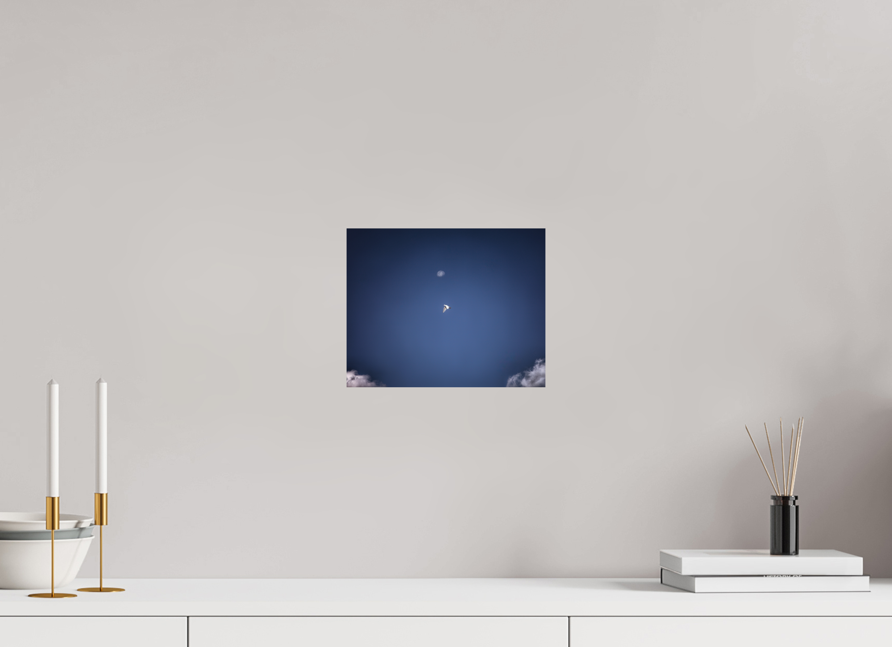 10 x 8″, Photo Print On Fuji Crystal DP II White Bird in Flight with Daytime Moon Salt Lake City