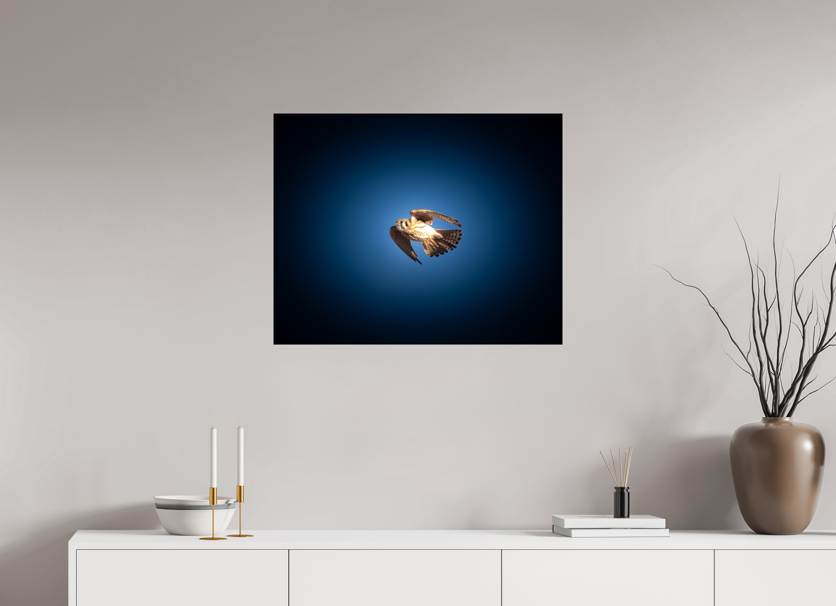30 x 24″, Photo Print Under Acrylic Glass American Kestrel Soaring in Moody Blue Sky Salt Lake City