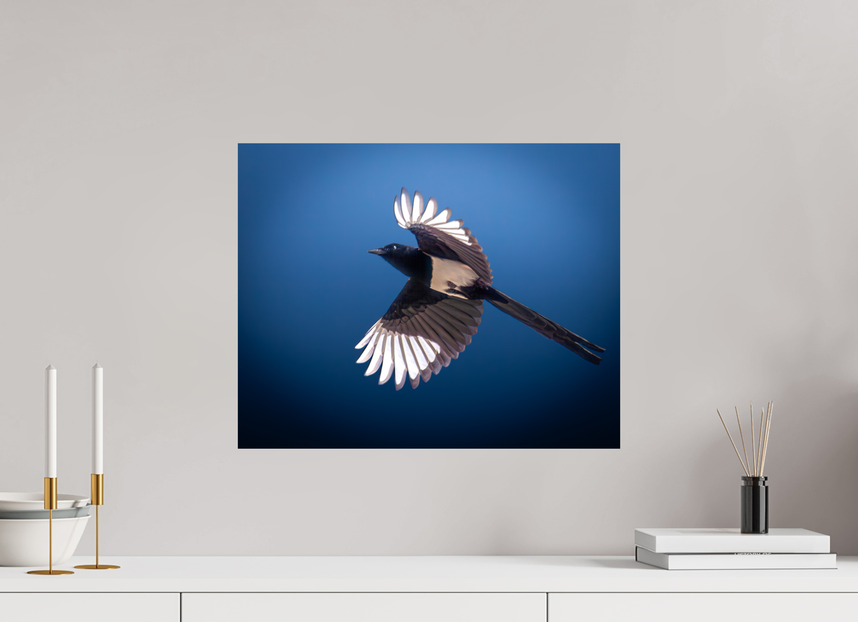 20 x 16″, Photo Print On Fuji Crystal DP II Black-billed Magpie in Flight Salt Lake City