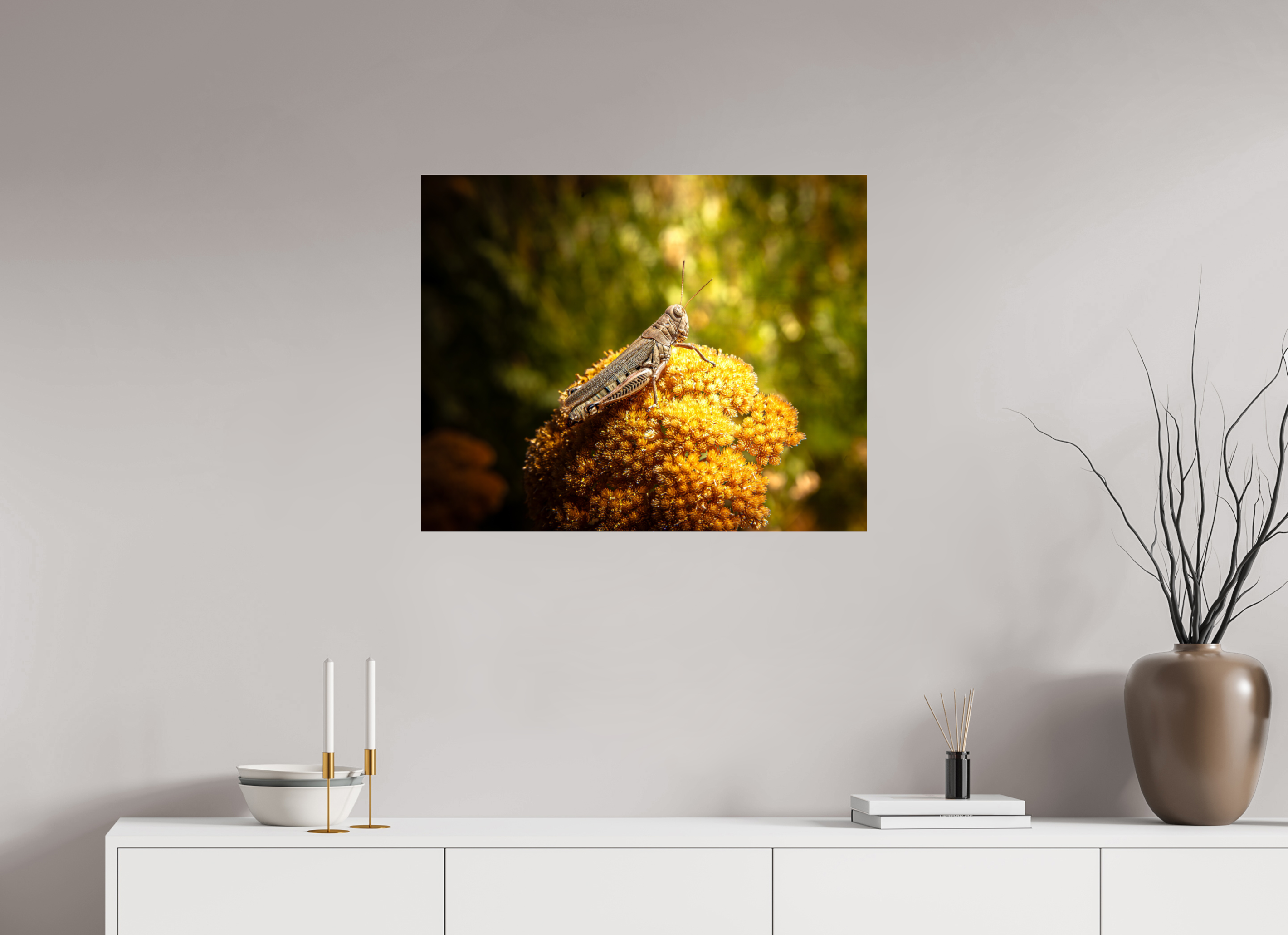 30 x 24″, Photo Print Under Acrylic Glass Differential Grasshopper on Golden Wildflower Salt Lake City