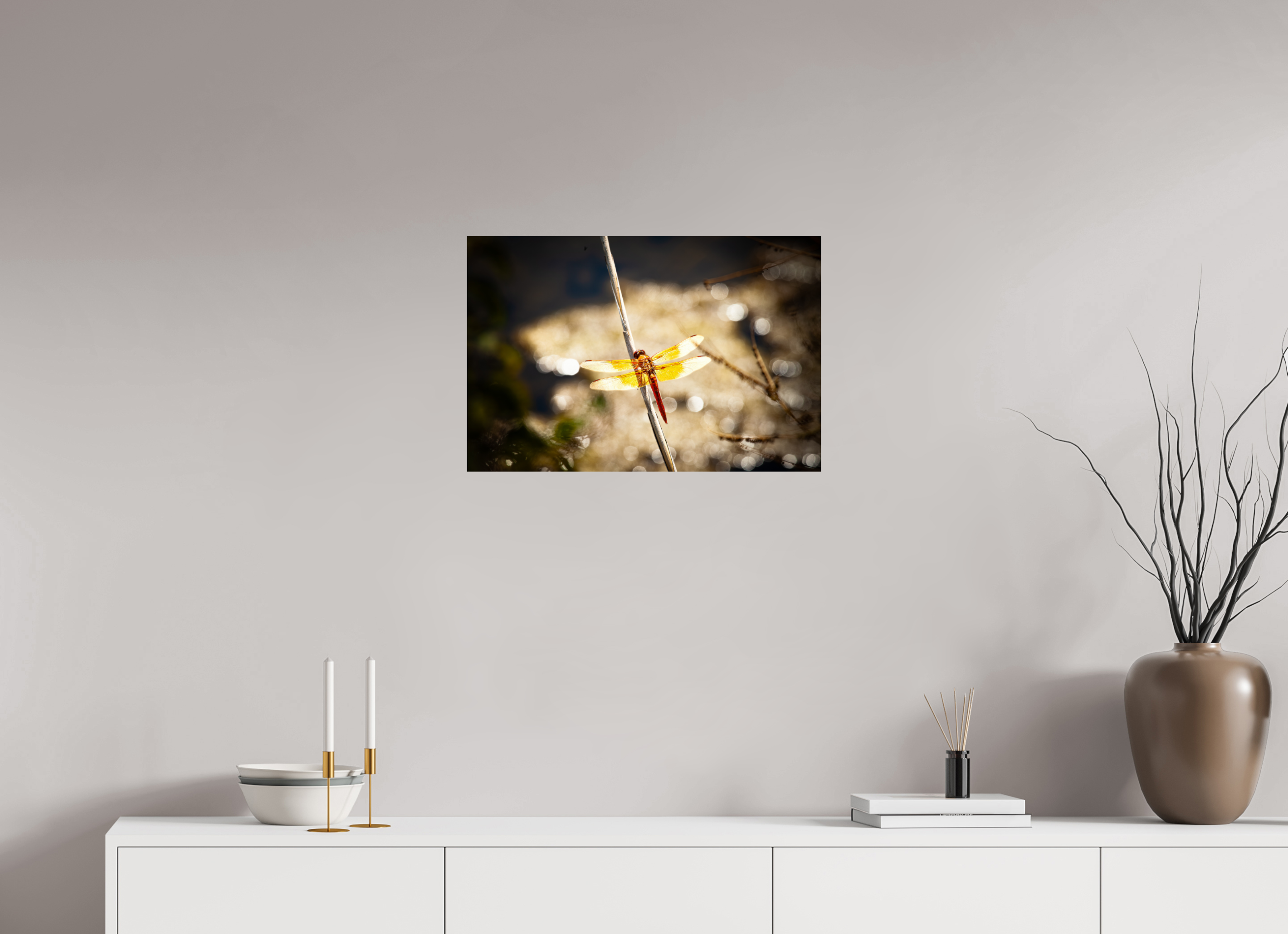 24 x 16″, Photo Print On Fuji Crystal DP II Flame Skimmer Dragonfly Backlit Salt Lake City Utah