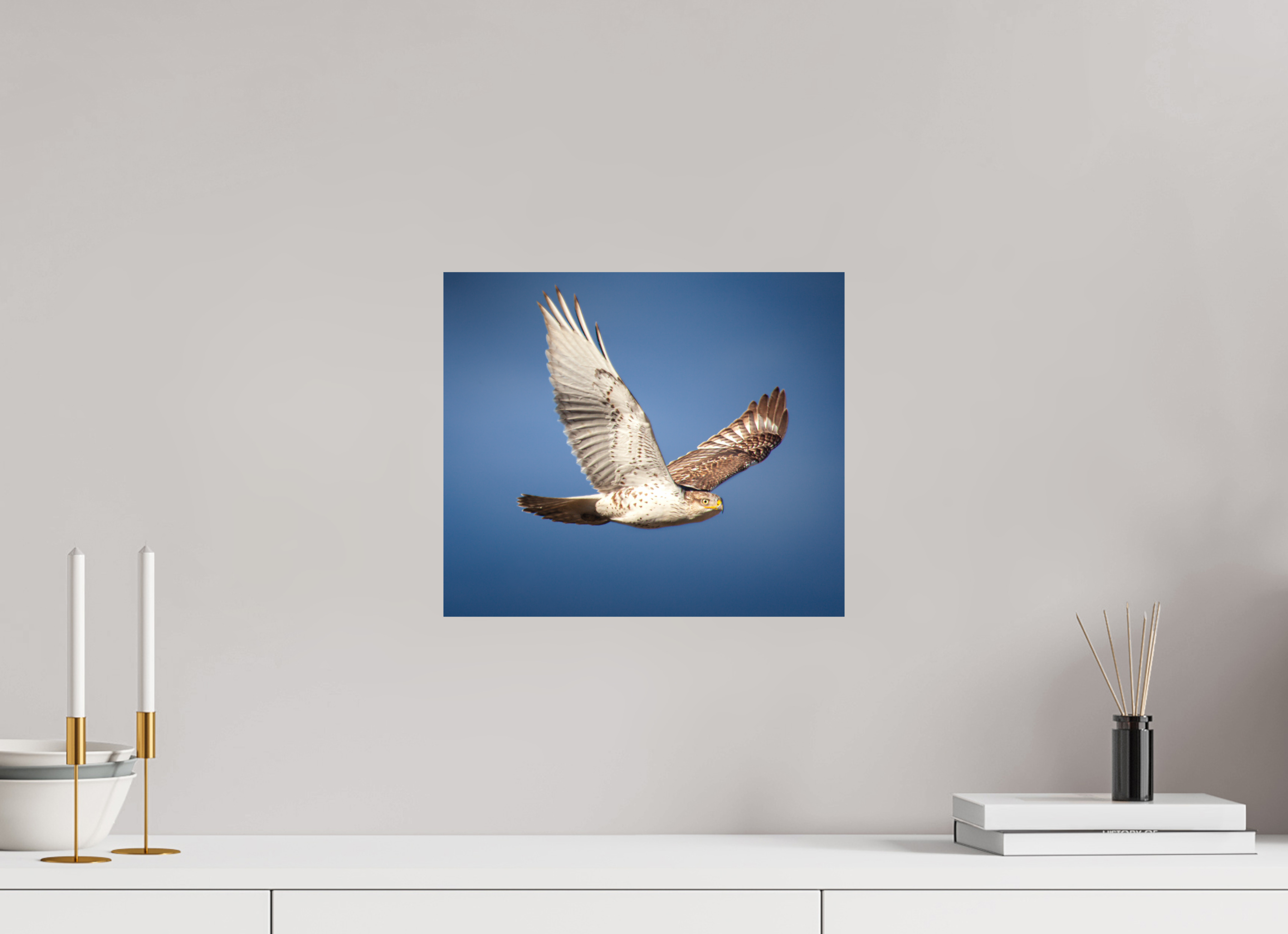 14 x 12″, Photo Print On Fuji Crystal DP II Ferruginous Hawk in Flight South Valley Regional Airport Utah
