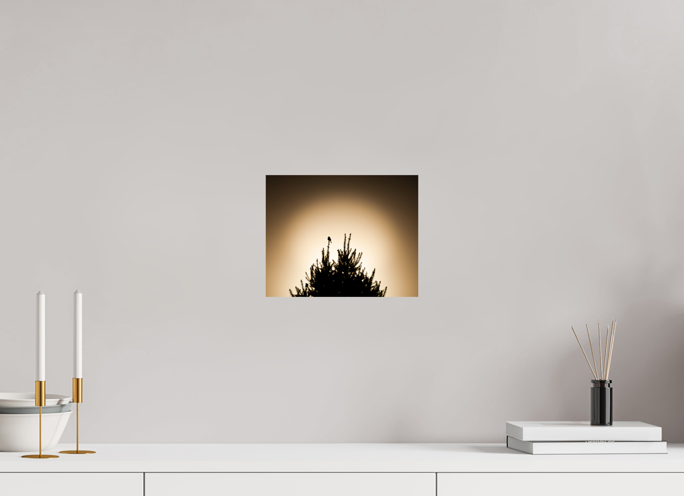 10 x 8″, Photo Print On Fuji Crystal DP II Bird Silhouette on Evergreen Tree at Sunset Salt Lake City