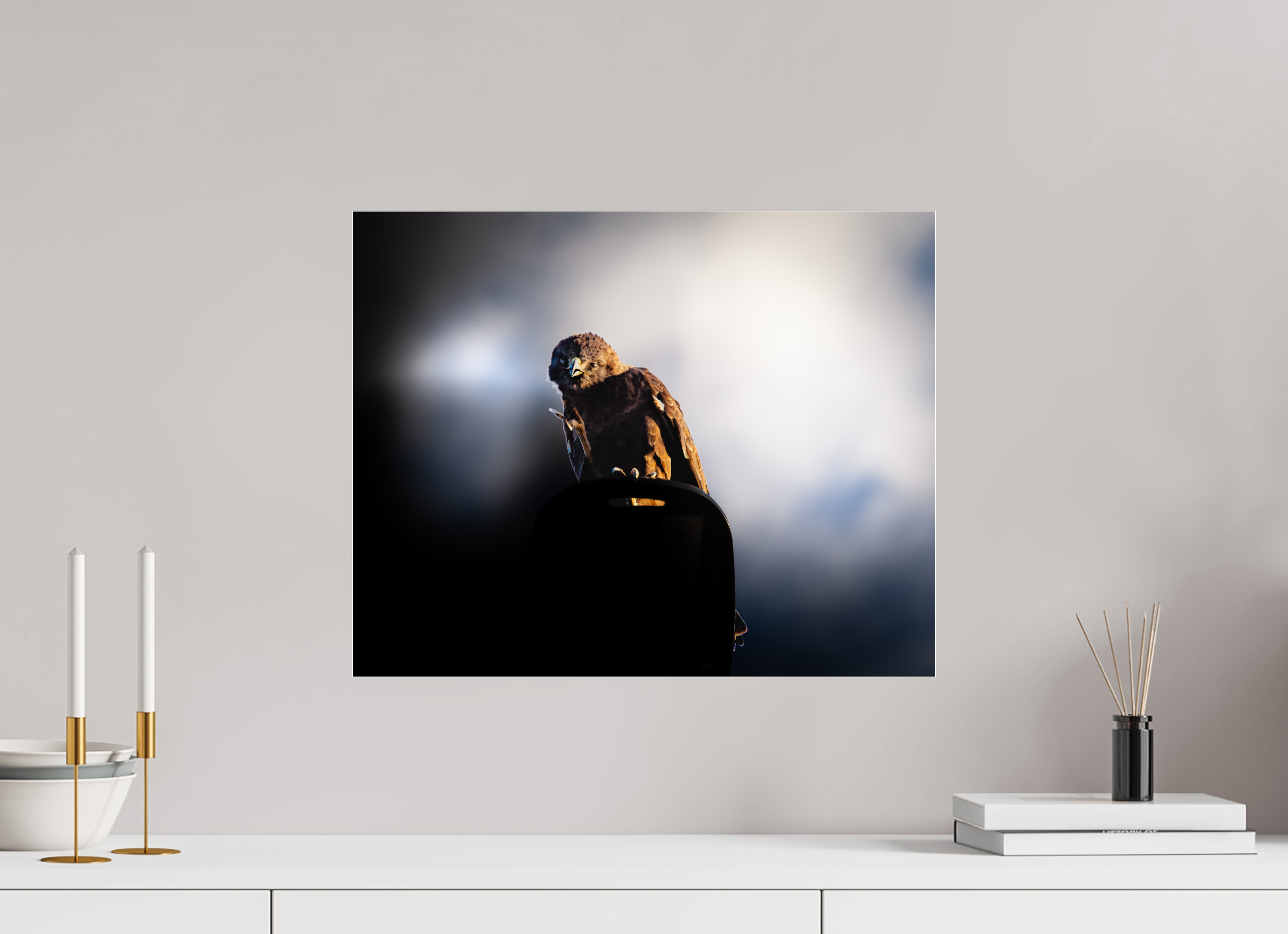 20 x 16″, Photo Print Under Acrylic Glass Majestic Dark Hawk Perched on an Urban Street Light at Golden Hour