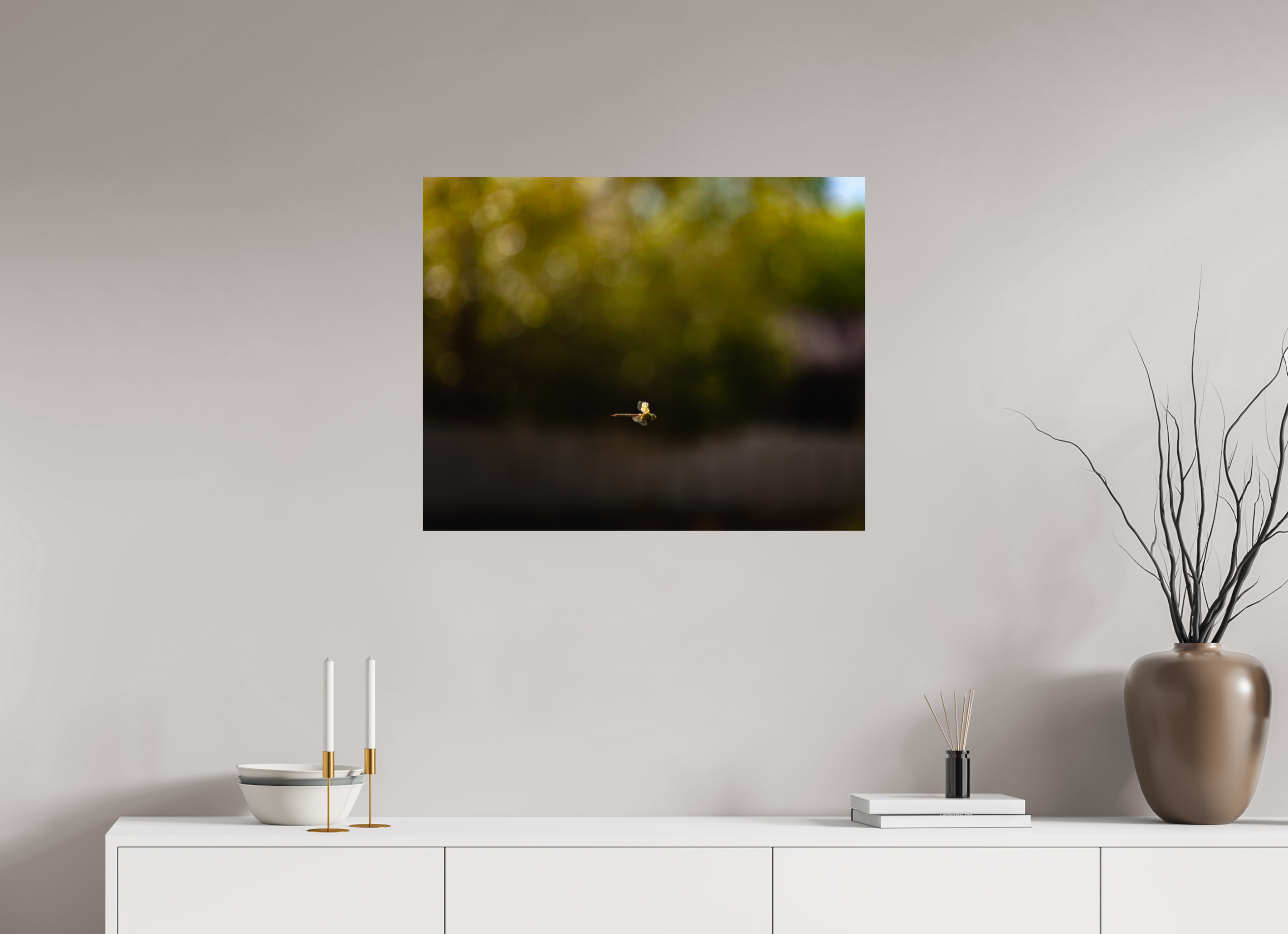 30 x 24″, Photo Print On Fuji Crystal DP II Dragonfly in Flight Golden Hour Salt Lake City