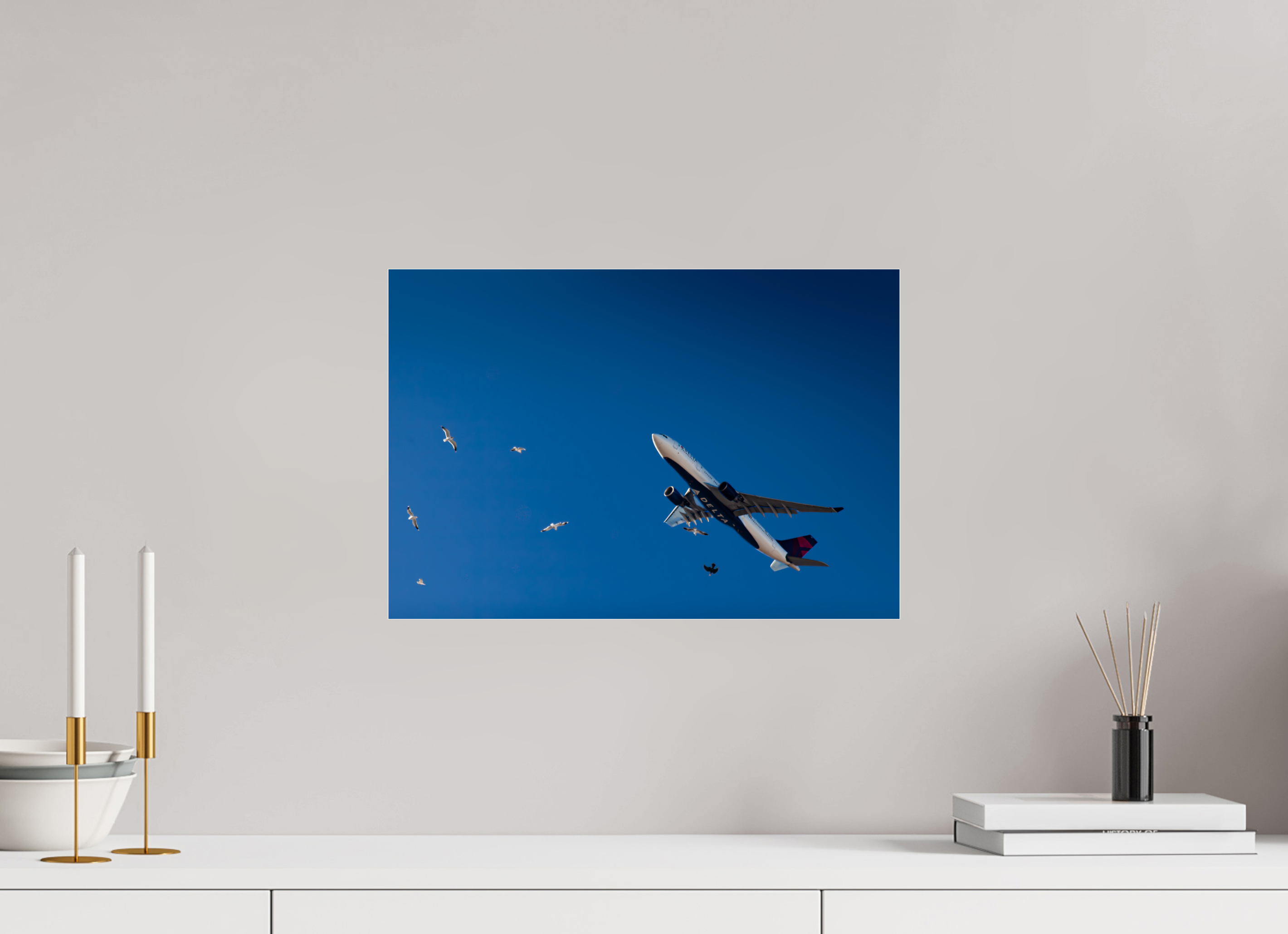 17.6 x 12″, Photo Print Under Acrylic Glass Delta Airplane and Seagulls Flight Salt Lake City