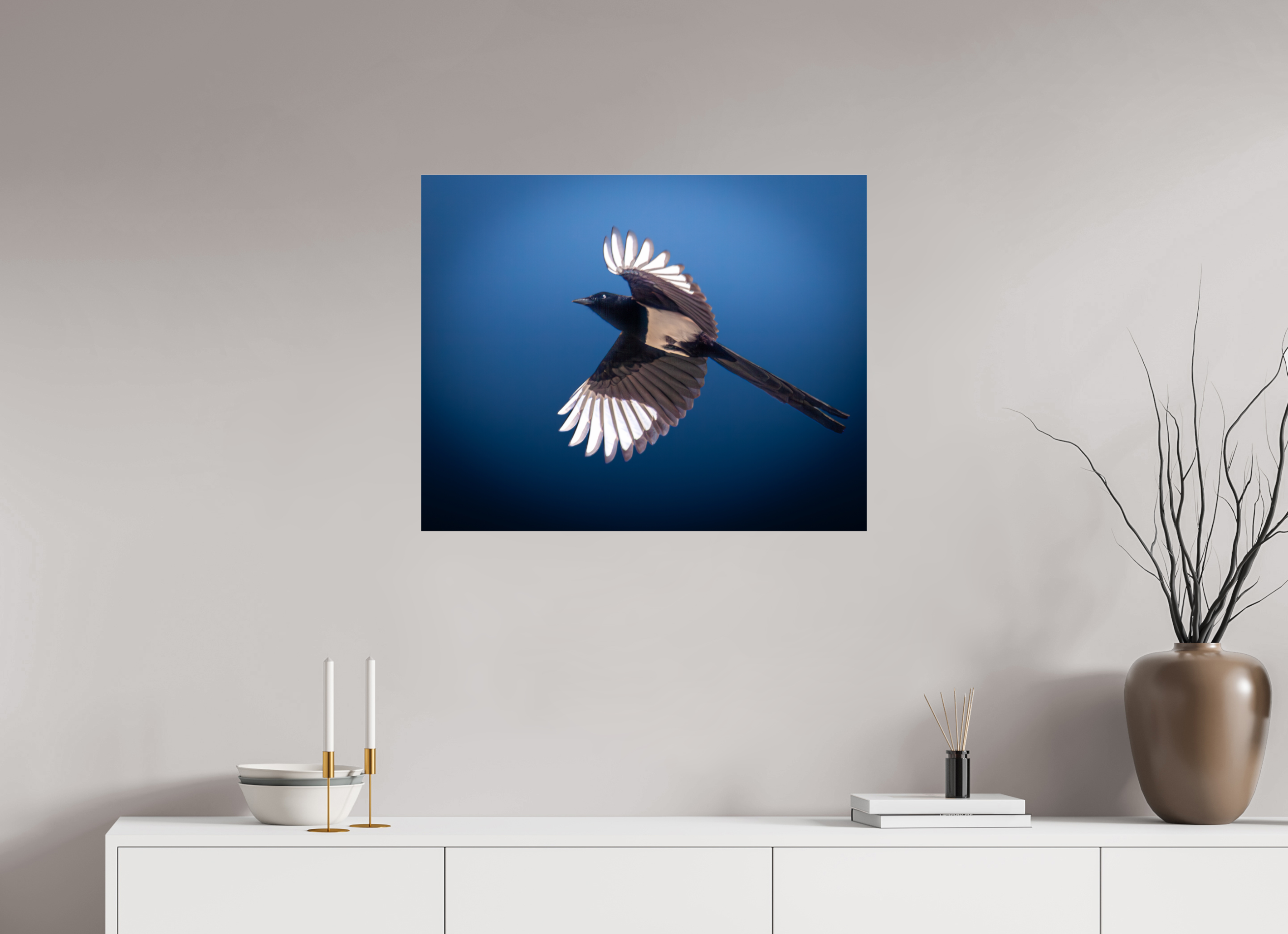 30 x 24″, Photo Print Under Acrylic Glass Black-billed Magpie in Flight Salt Lake City